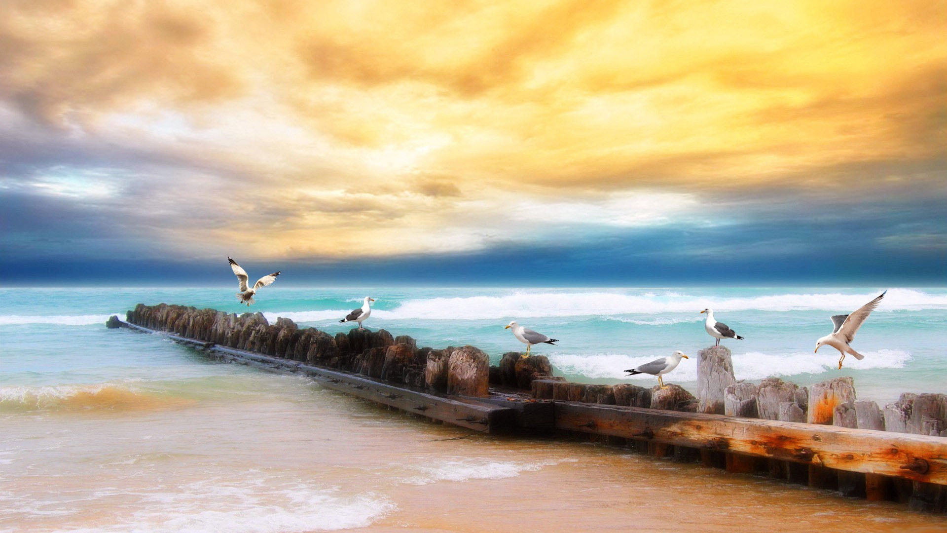 beauty in nature, tourism, clouds, landscape, lake, boat, cloud - sky, bay, wreck, flock of birds, animal, seagull, ship, coast, vacation, rock, animals in the wild, HD Wallpaper