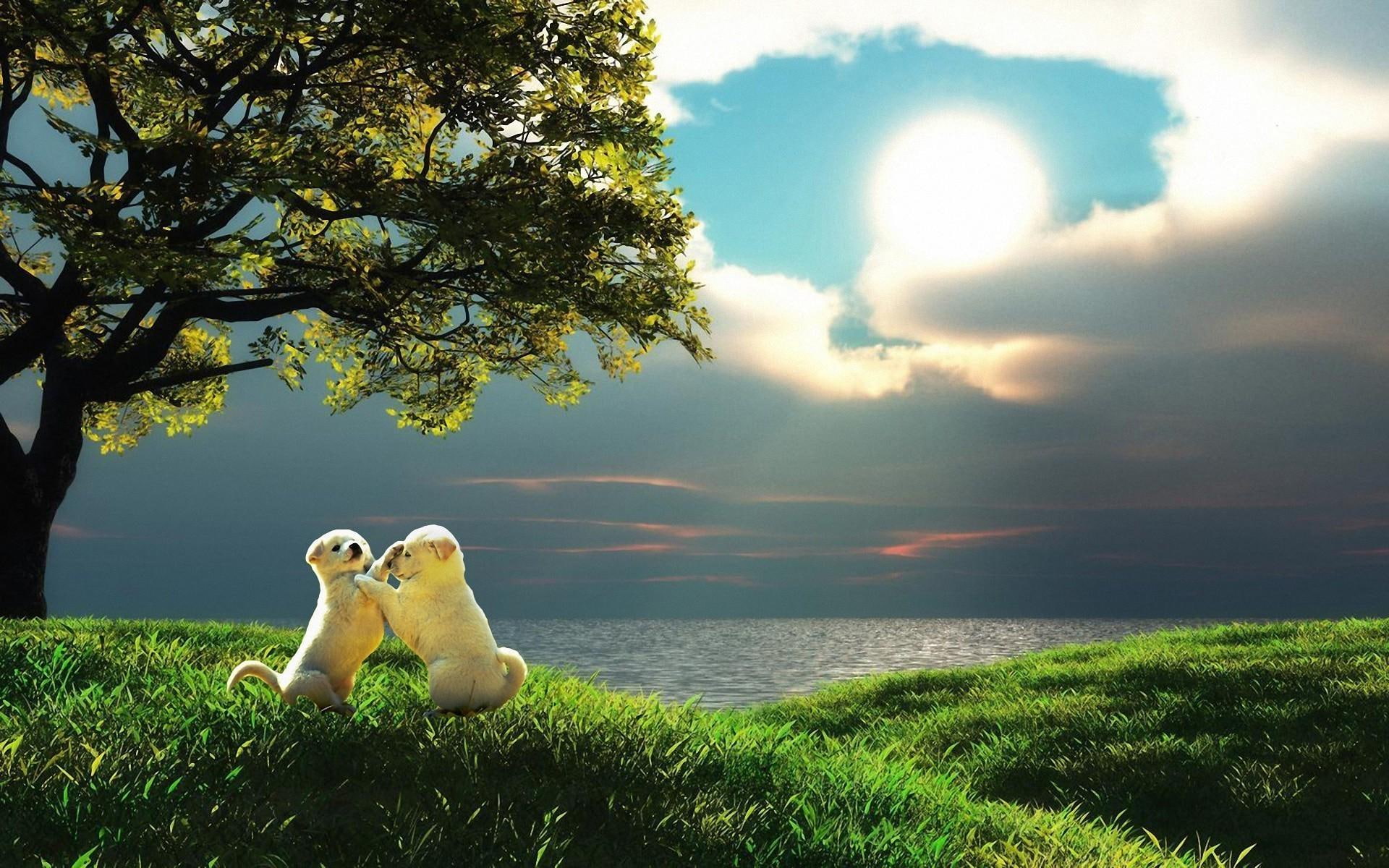 playful, water, tree, puppies, grass, clouds, nature, 1080P, puppy, lake, branch, hills, cute, dogs, cuddle, HD Wallpaper