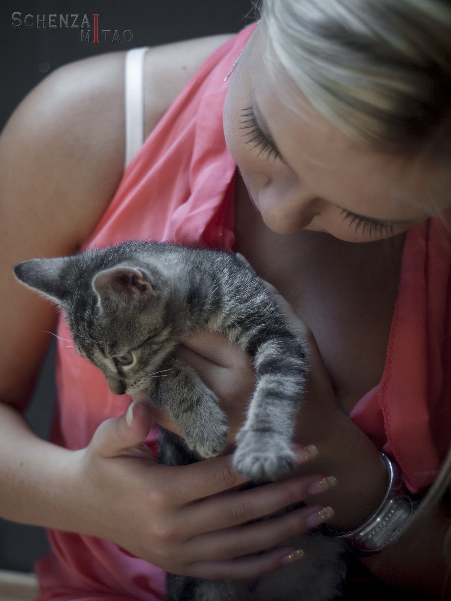 real people, 1080P, girl, little cat, vertebrate, feline, domestic animals, care, animal, cat, with kitty, kitten, mammal, pet owner, women, one person, Phone HD Wallpaper