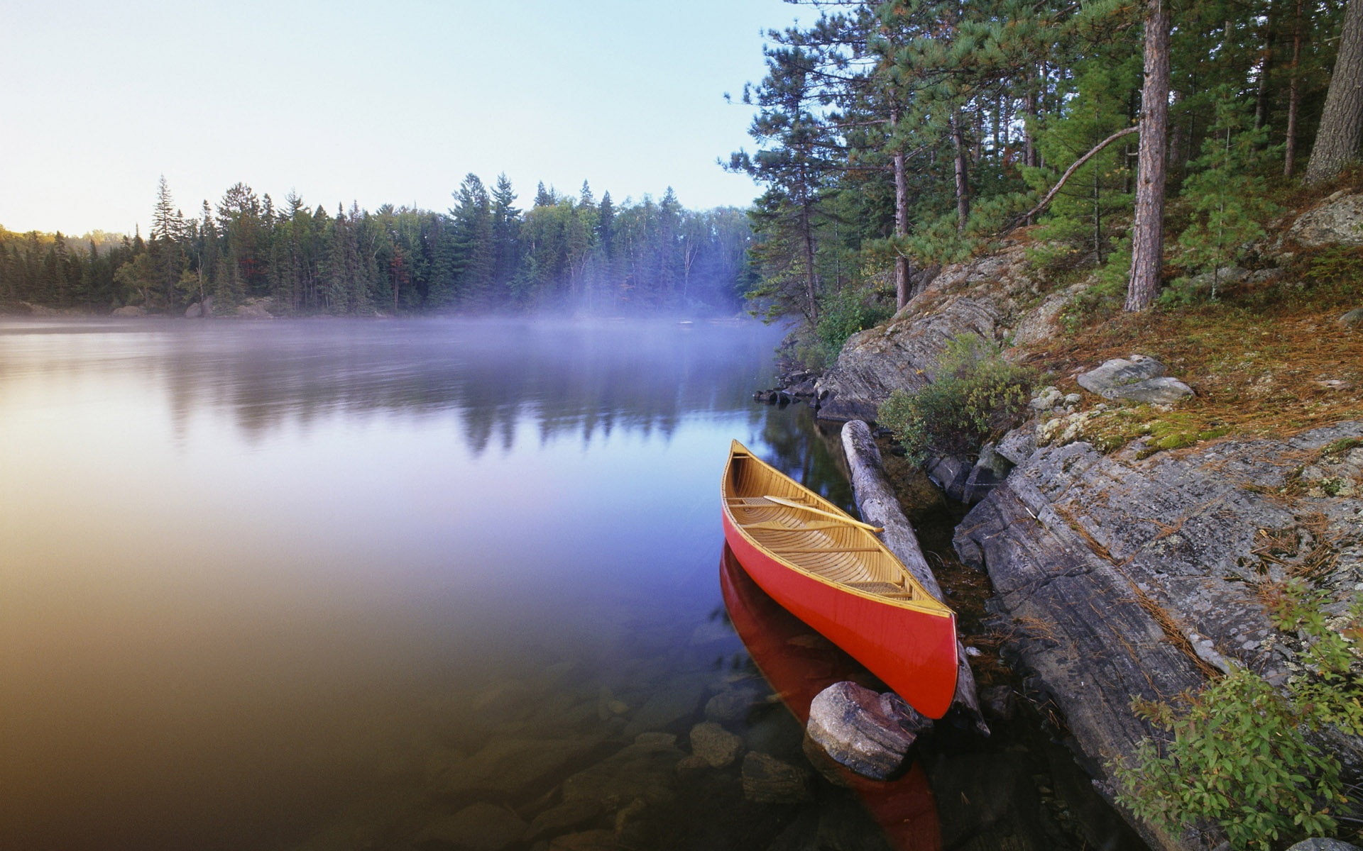 Canada, Lake, pinetree, 1080P, Canoe, HD Wallpaper