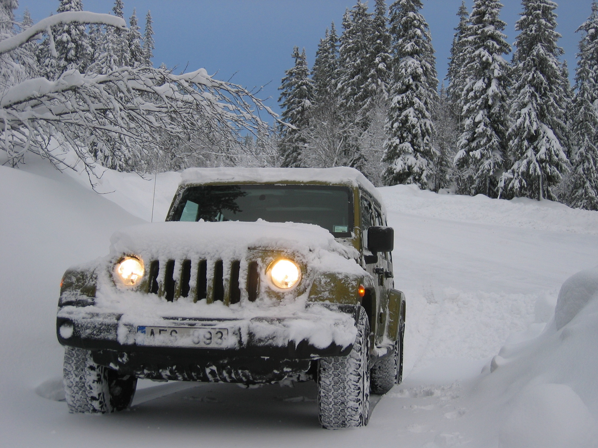 day, trees, near, beauty in nature, mode of transportation, deep snow, cold - Temperature, tree, nature, land Vehicle, no people, cold temperature, 1080P, HD Wallpaper