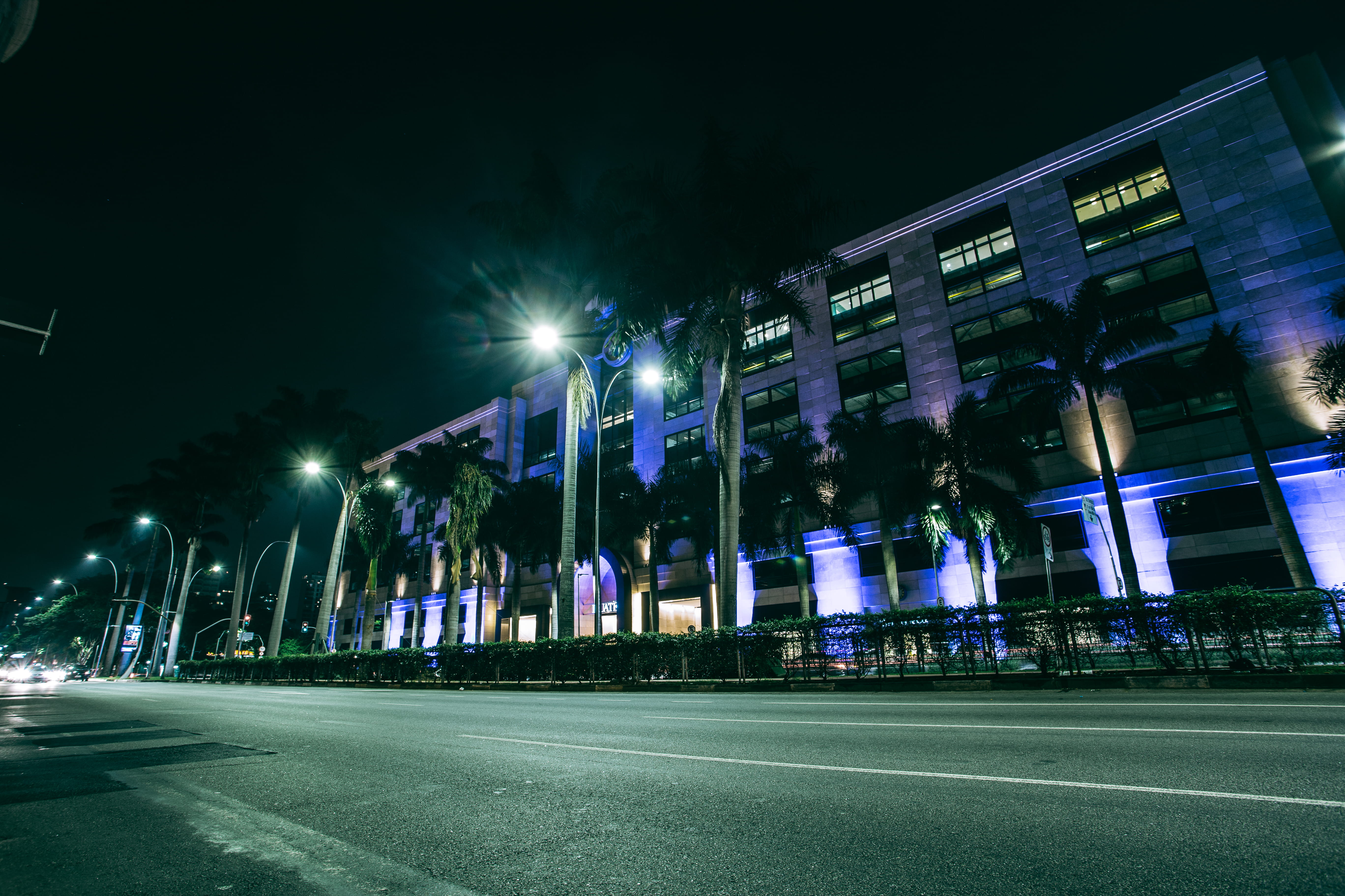 blur, cityscape, trees, outdoors, highway, palm, night, street, building exterior, nightlife, 5K, green, building, road marking, direction, lights, gray, HD Wallpaper