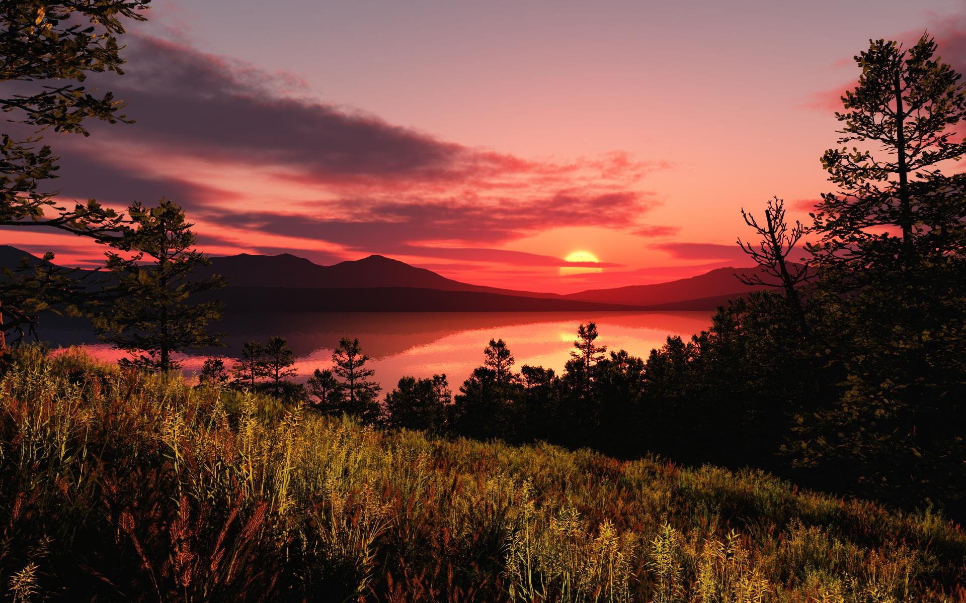 trees, lake, excellent, lscape, nature and landscapes, grass, sunset, 1080P, mountains, silhouette, HD Wallpaper