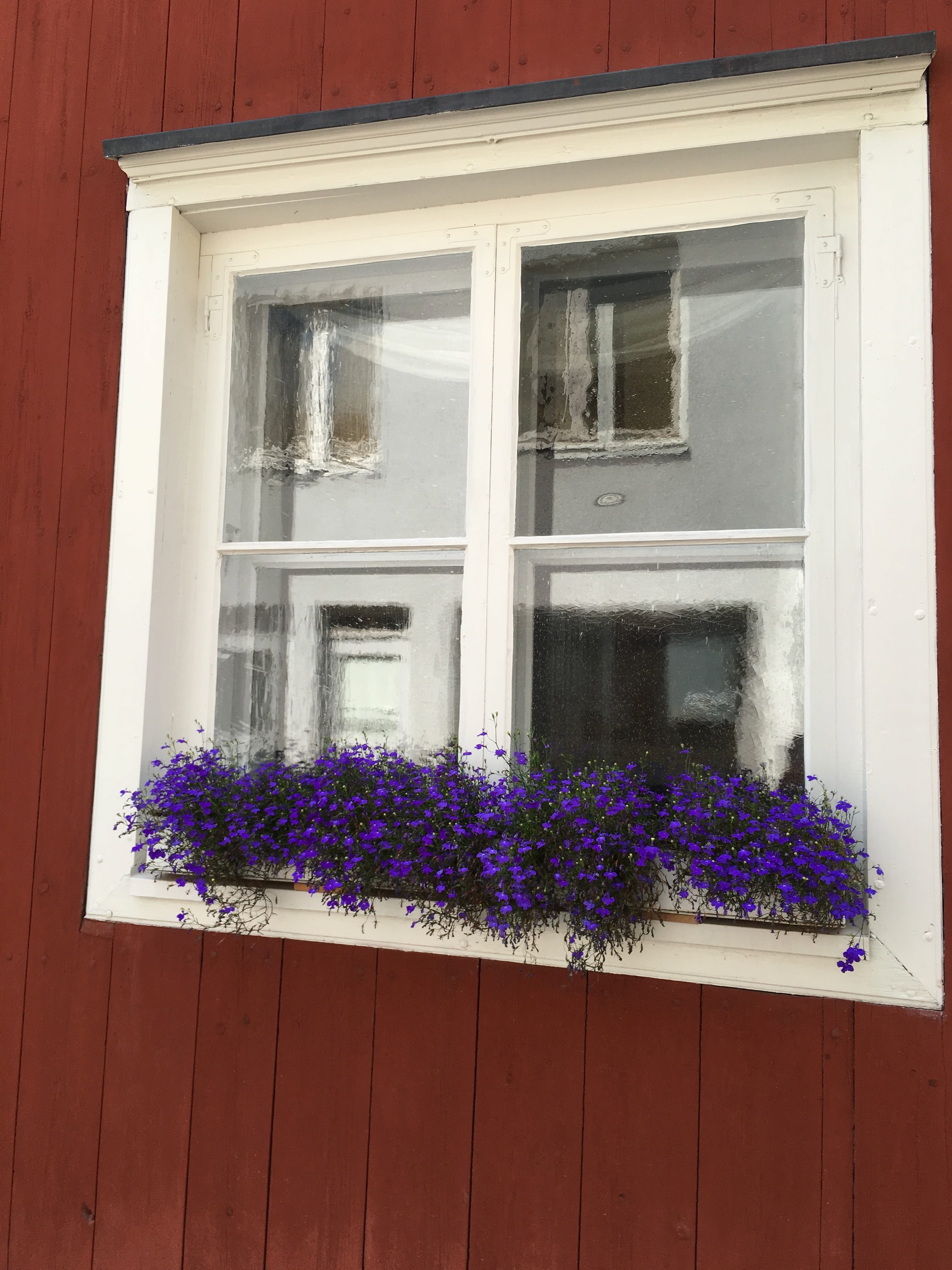plant, european, wall, glass - material, countryside, traditional, built structure, nordic, residential district, house, forest, tourism, day, facade, red, Phone HD Wallpaper
