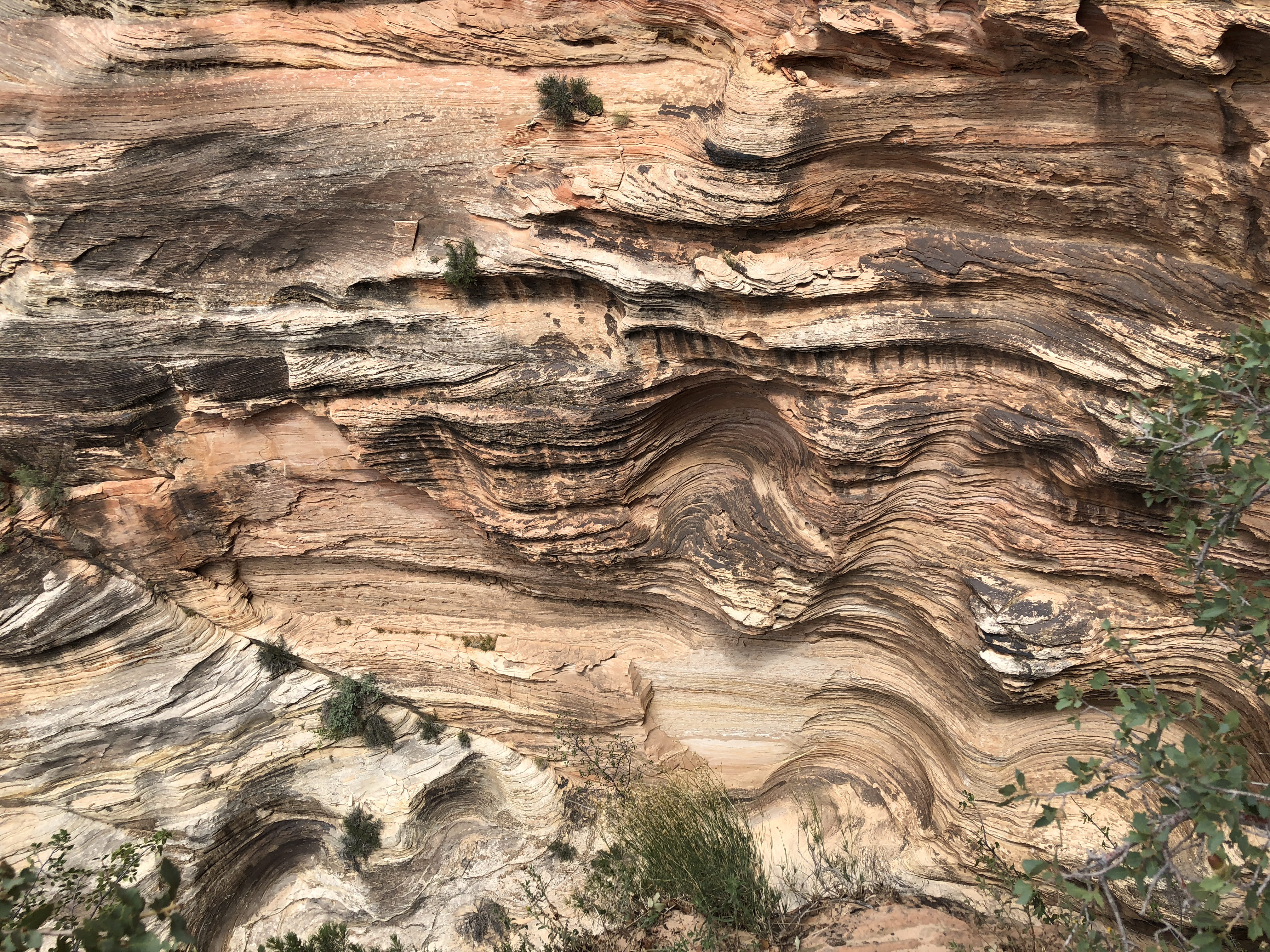 no people, tree, geology, outdoors, full frame, eroded, bronze, united states, rock - object, pattern, backgrounds, rough, waves, springdale, physical geography, HD Wallpaper