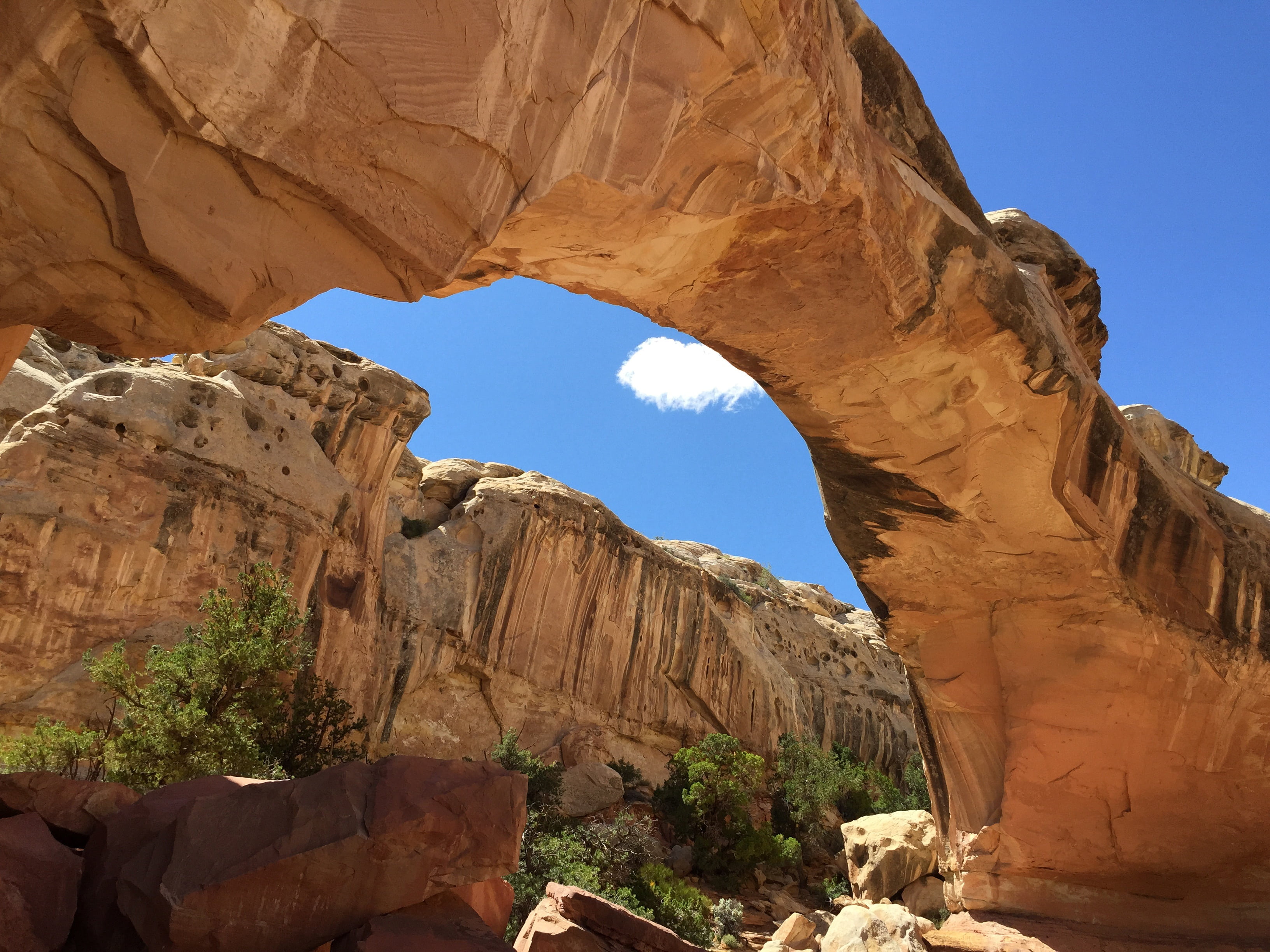rock, desert, nature, utah, outdoors, non-urban scene, no people, climate, red, tranquility, sunlight, arch, rock - Object, landscape, canyon, scenics, HD Wallpaper