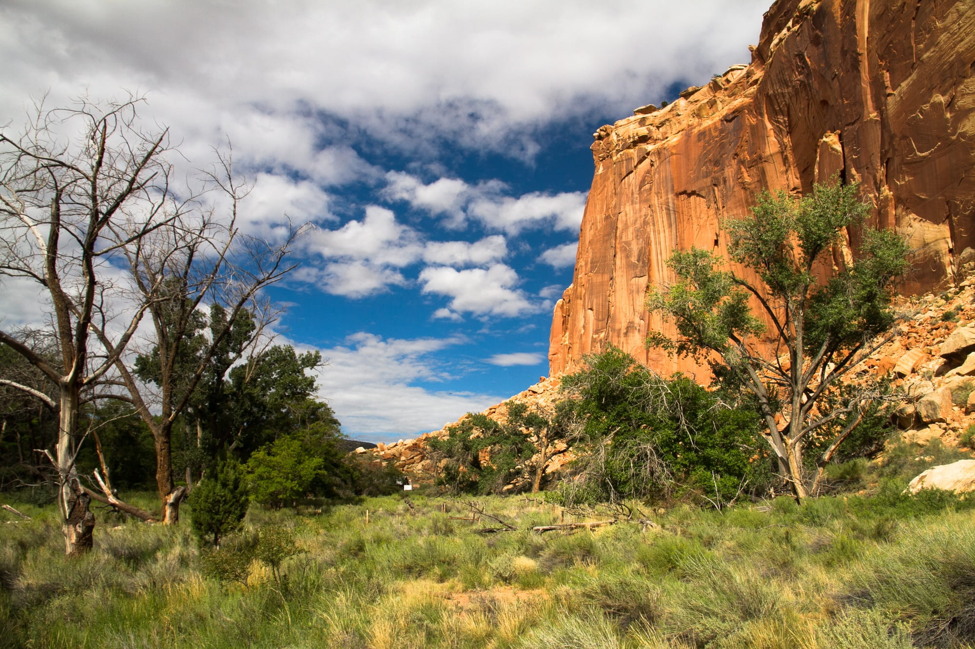 tranquil scene, capitol reef, solid, arid climate, mountains, tree, travel destinations, semi-arid, usa, beauty in nature, plant, outdoors, scenics - nature, HD Wallpaper