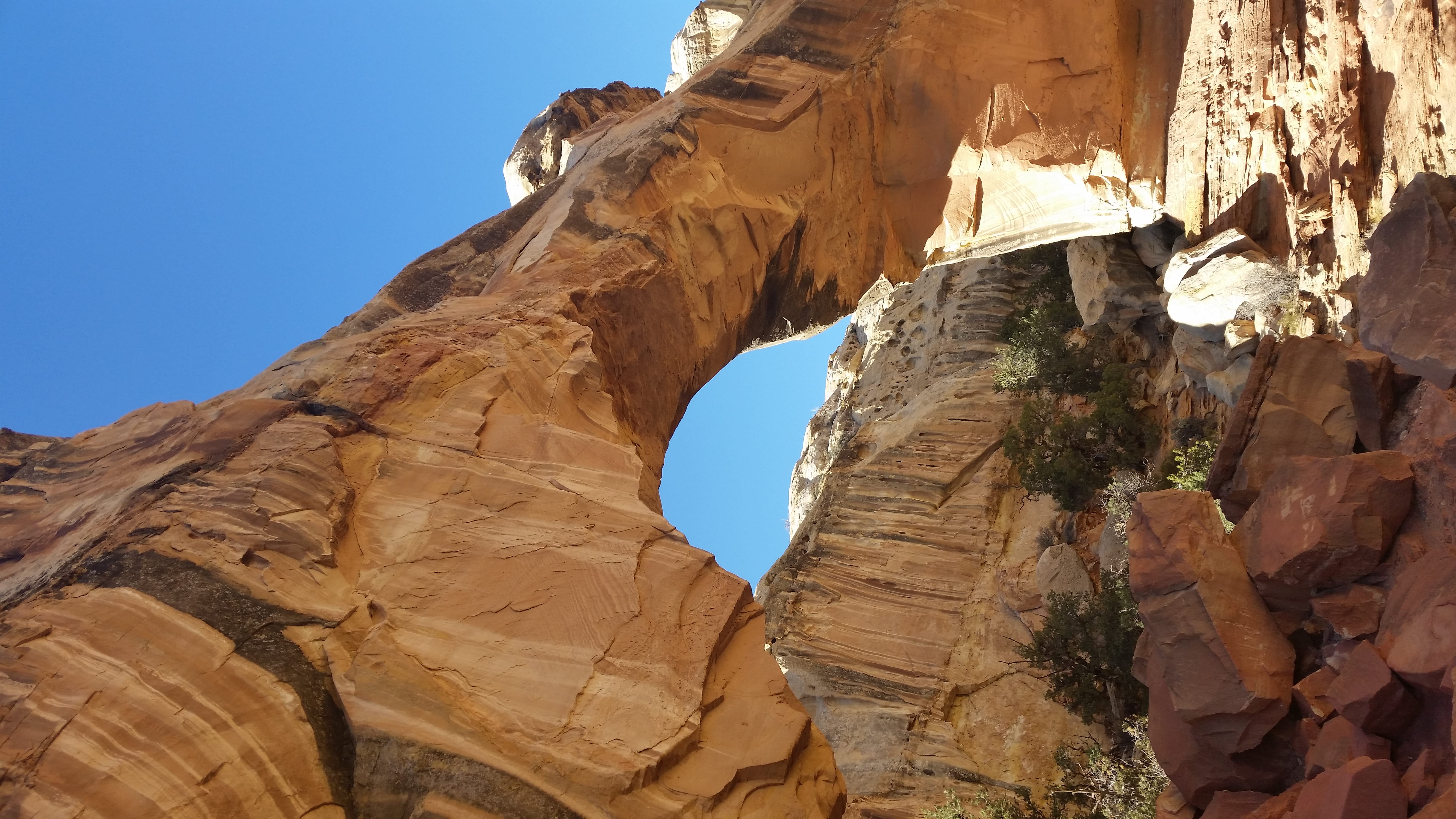 sunlight, travel destinations, 5K, nature, rock, travel, formation, rock formation, no people, physical geography, capital reef, rock - object, day, solid, HD Wallpaper