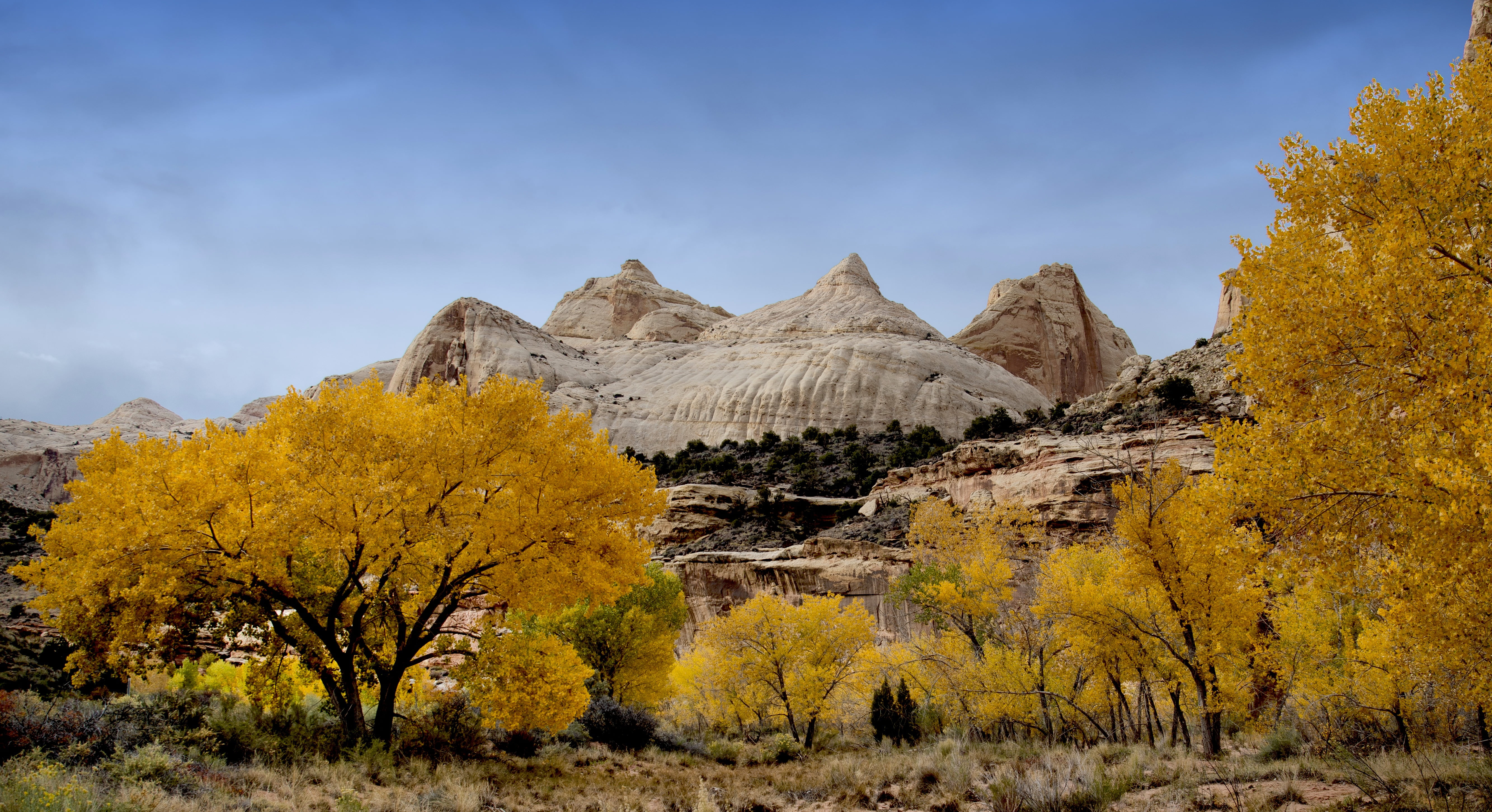 capitol, outdoors, scenery, nikon D800E, stone mountain, landscape, reef, mountain top, Capitol Reef National Park, white, stone, tree, Utah, trees, scenics, HD Wallpaper