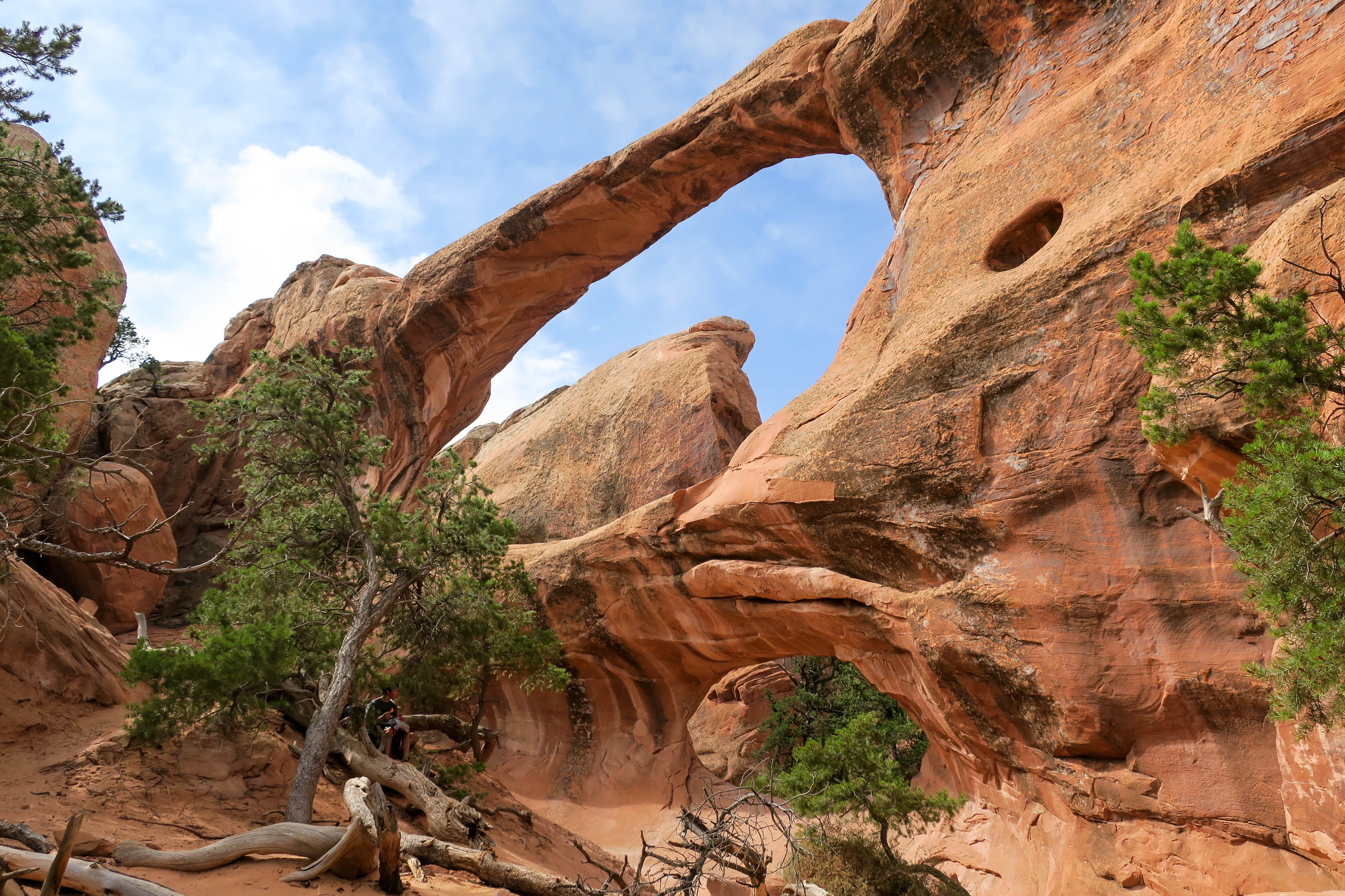 hike, road trip, red rocks, usa, plant, outdoors, frog view, climate, no people, trip, arches, nature, tranquility, cloud - sky, arch, eroded, beauty in nature, HD Wallpaper