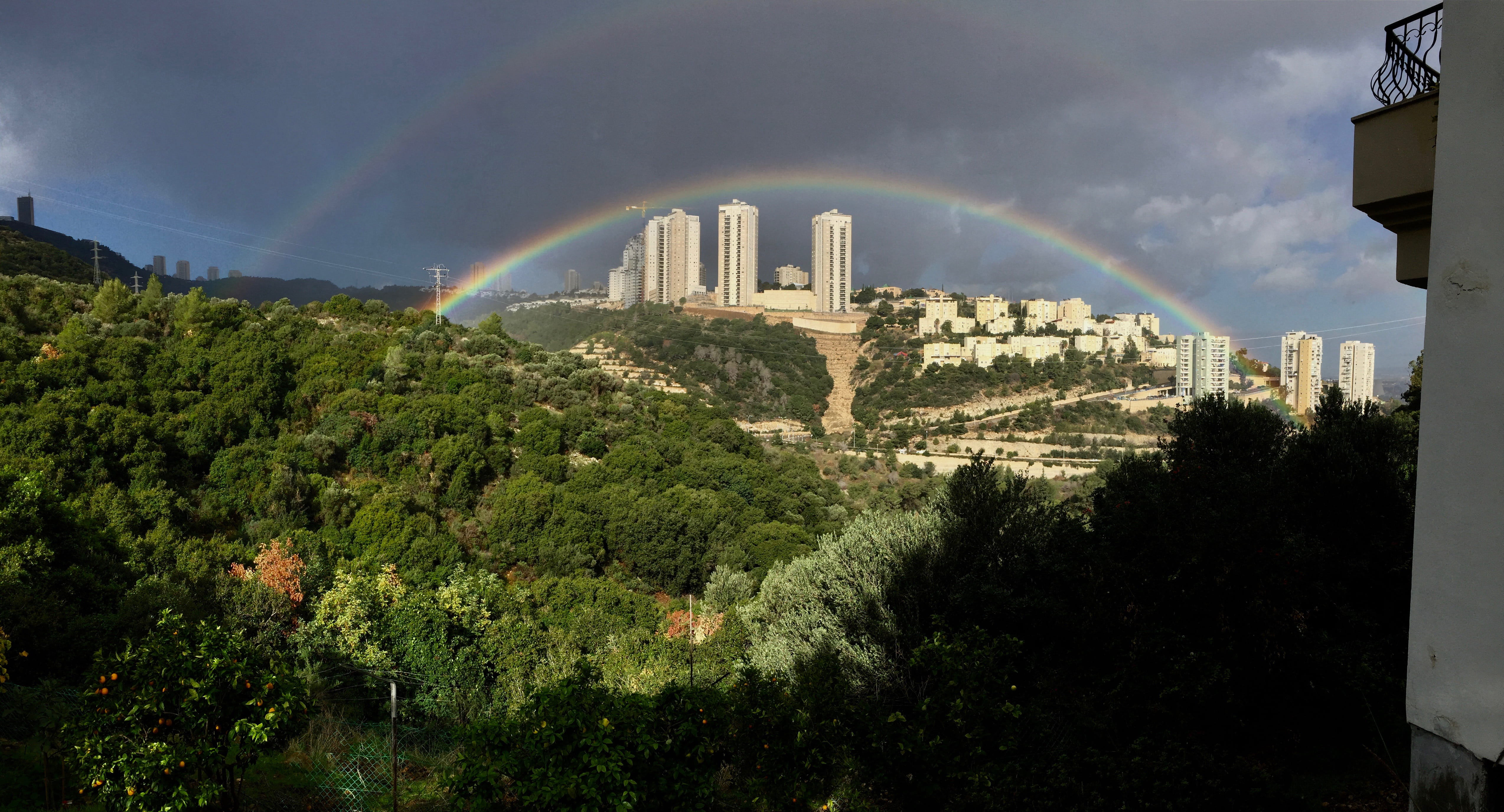 beauty in nature, green color, day, no people, rainbow, arch, city, tree, growth, israel, 4K, carmel, outdoors, skyscraper, sky, cloud - sky, plant, building, HD Wallpaper