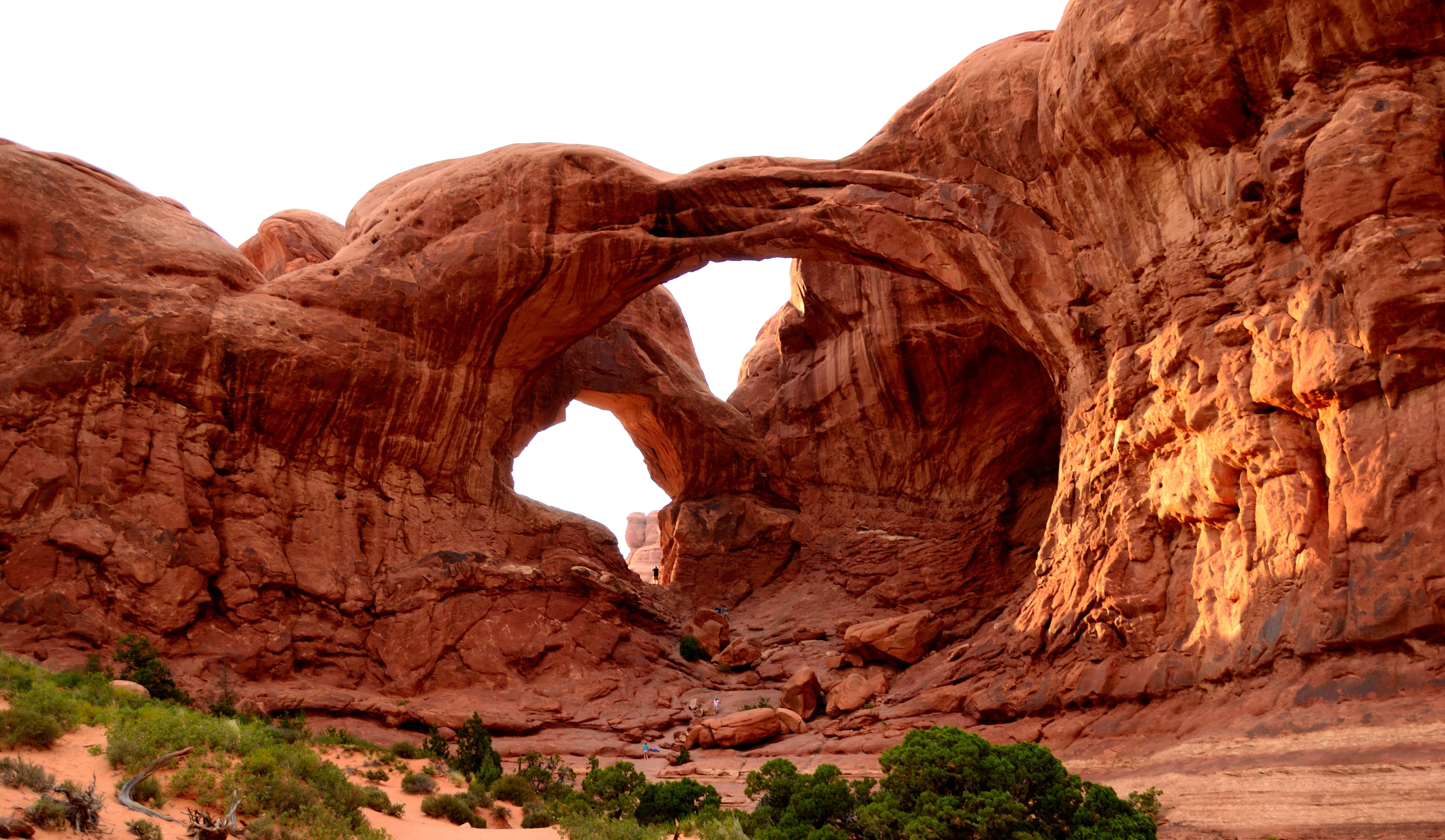 arch, travel destinations, geology, clear, 4K, photography, outdoors, rock, formation, idyllic, growing, southwest, sandstone, beside, nature, red rock, HD Wallpaper