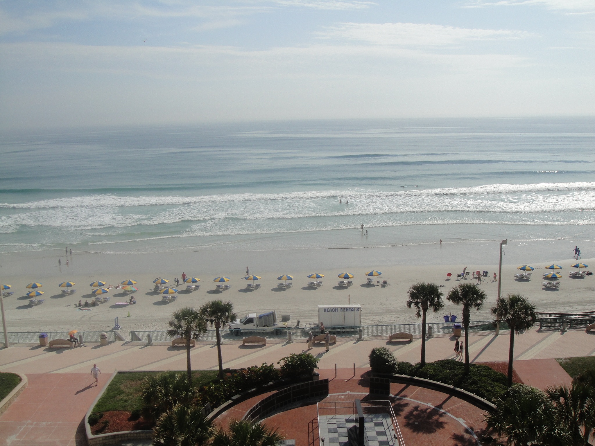 vacation, coast, day, daytona, atlantic, beach, tree, land, city, ocean, sea, built structure, scenics - nature, outdoors, scenic, high angle view, sky, HD Wallpaper