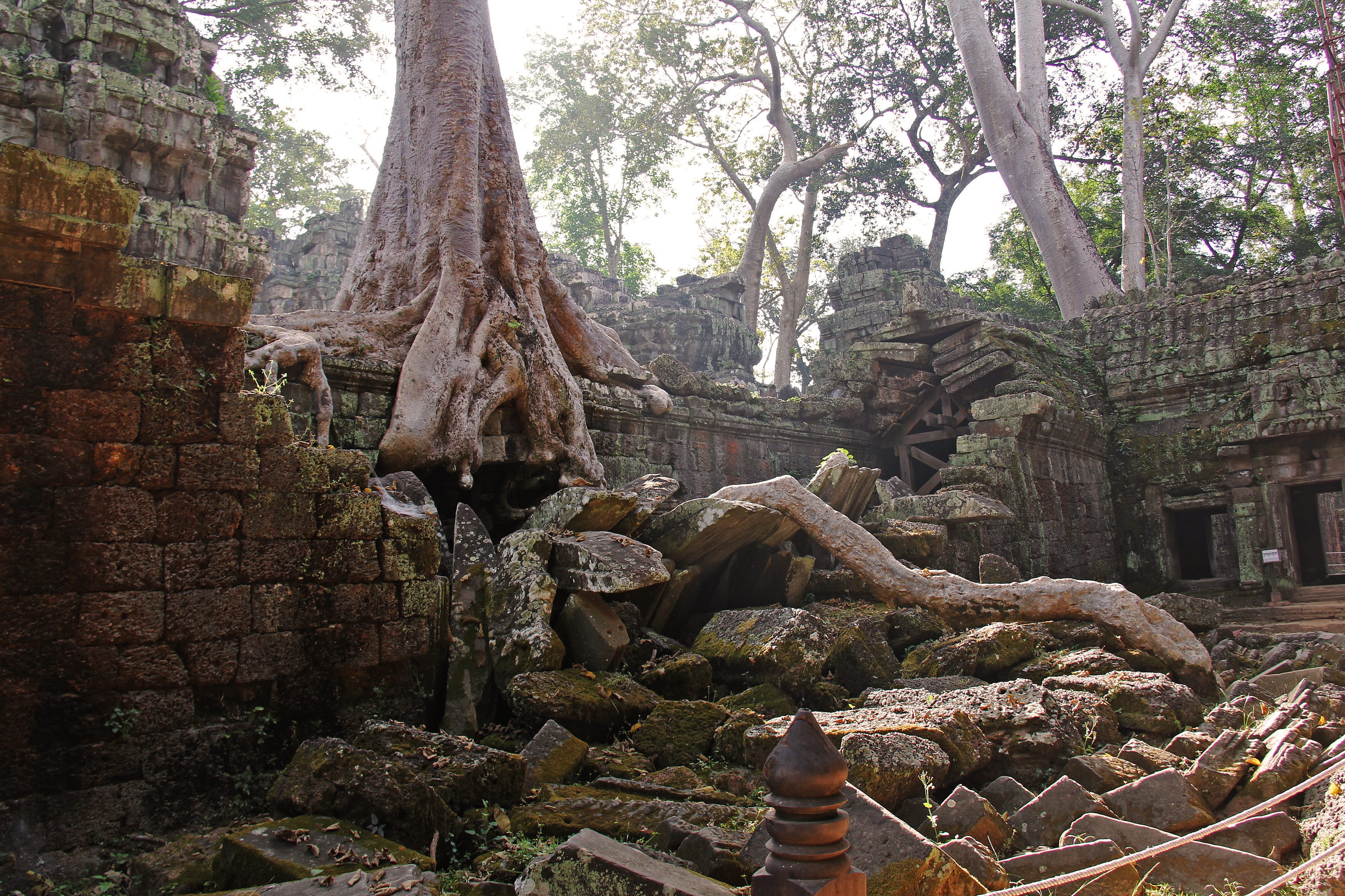 tomb raider fame, spirituality, tourist, angkor wat, near, no people, sculpture, old, outdoors, antique, place of worship, old ruin, building exterior, HD Wallpaper