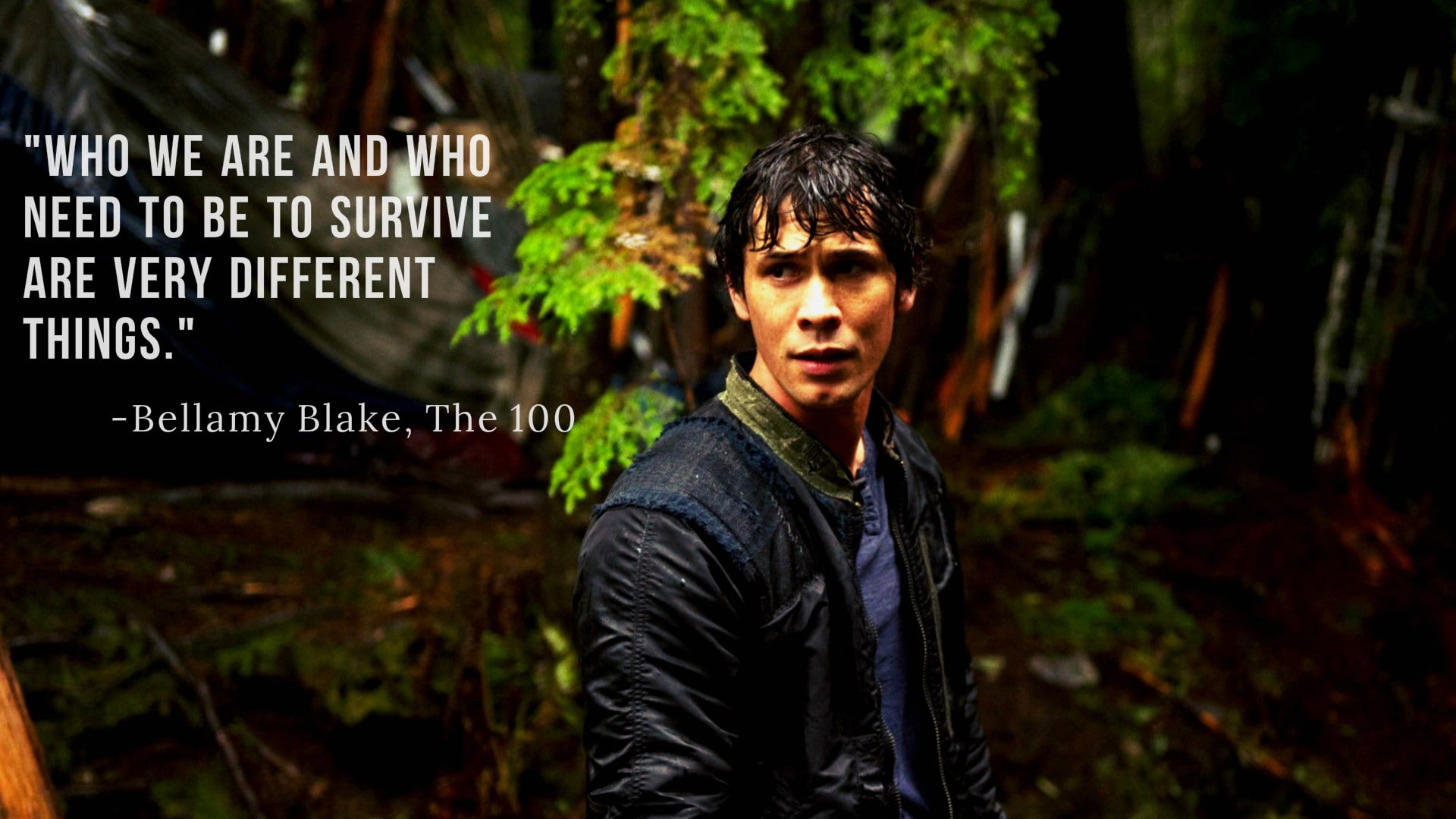 The 100, front view, Bellamy Blake, nature, tree, young adult, text, standing, lifestyles, communication, quote, looking at camera, one person, contemplation, HD Wallpaper