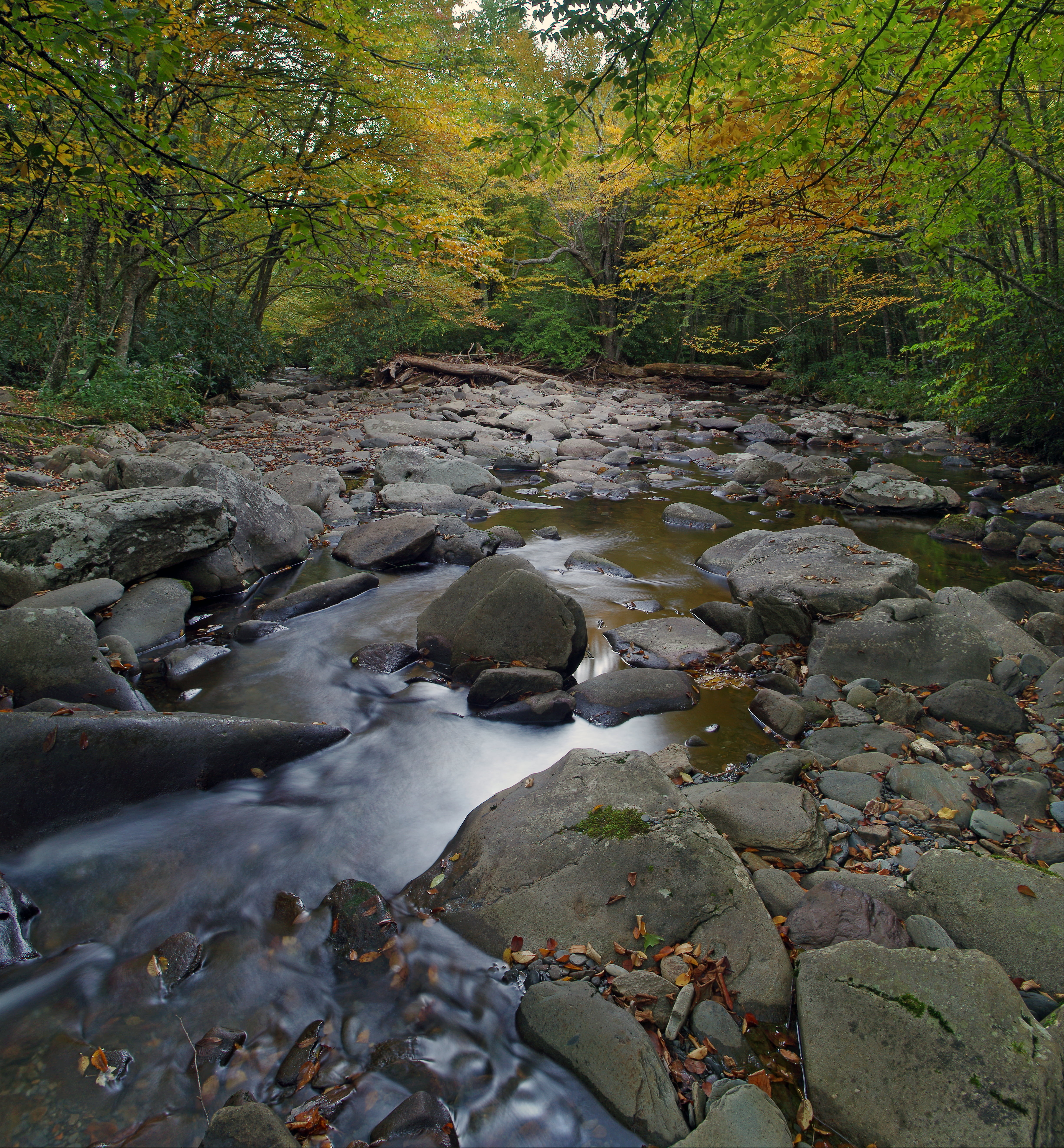 river, Flowing, outdoors, Prong, photograph, Pentax, HD, 5K, forest, beauty In Nature, Great Smoky Mountains  National Park, scenics, surrounded, rock - Object, Phone HD Wallpaper