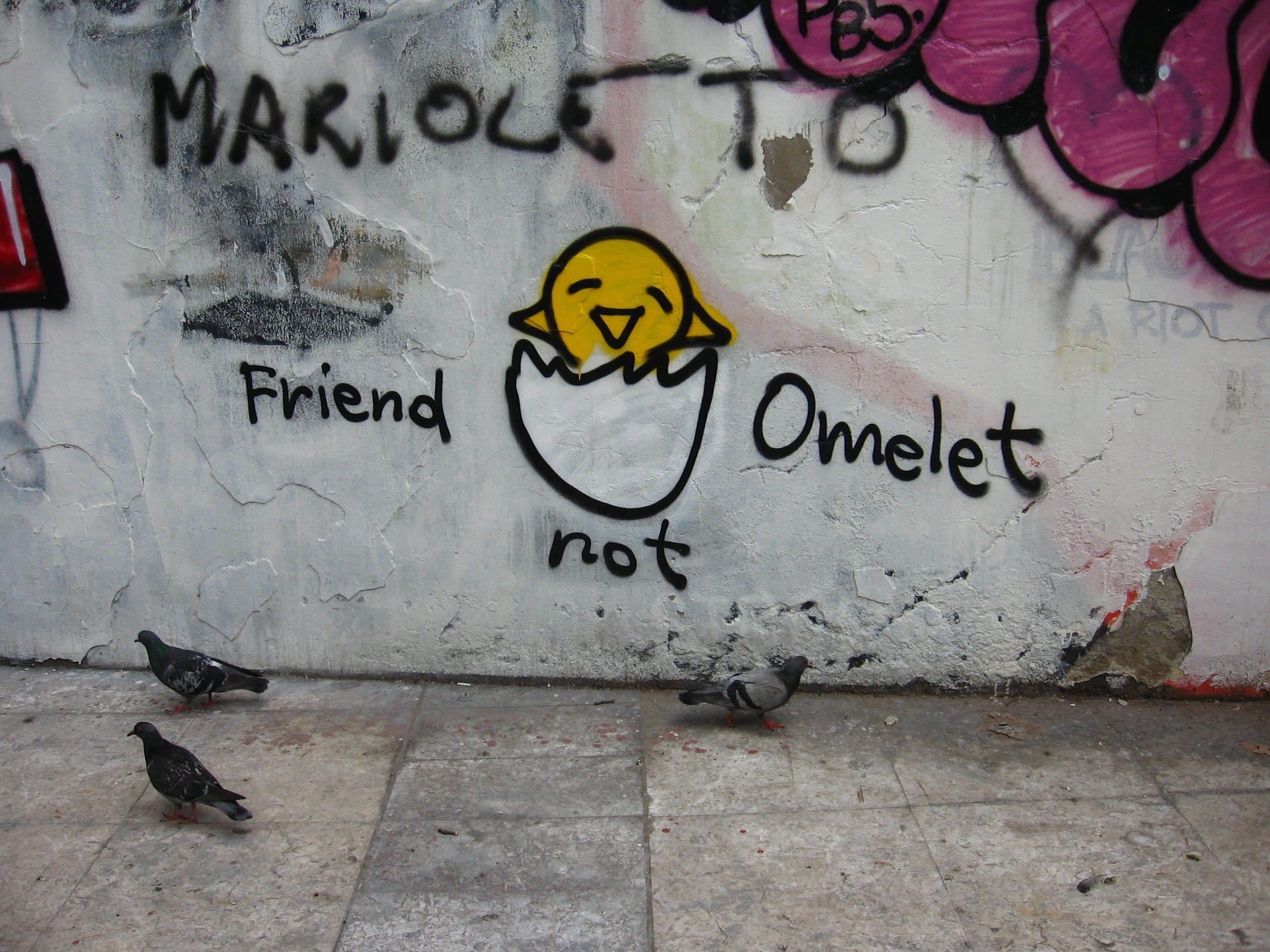 urban art, text, information, belgrade, vegetarian, serbia, animal, street, message, wall, creativity, art and craft, egg, animals, vegan, omelette, messy, HD Wallpaper