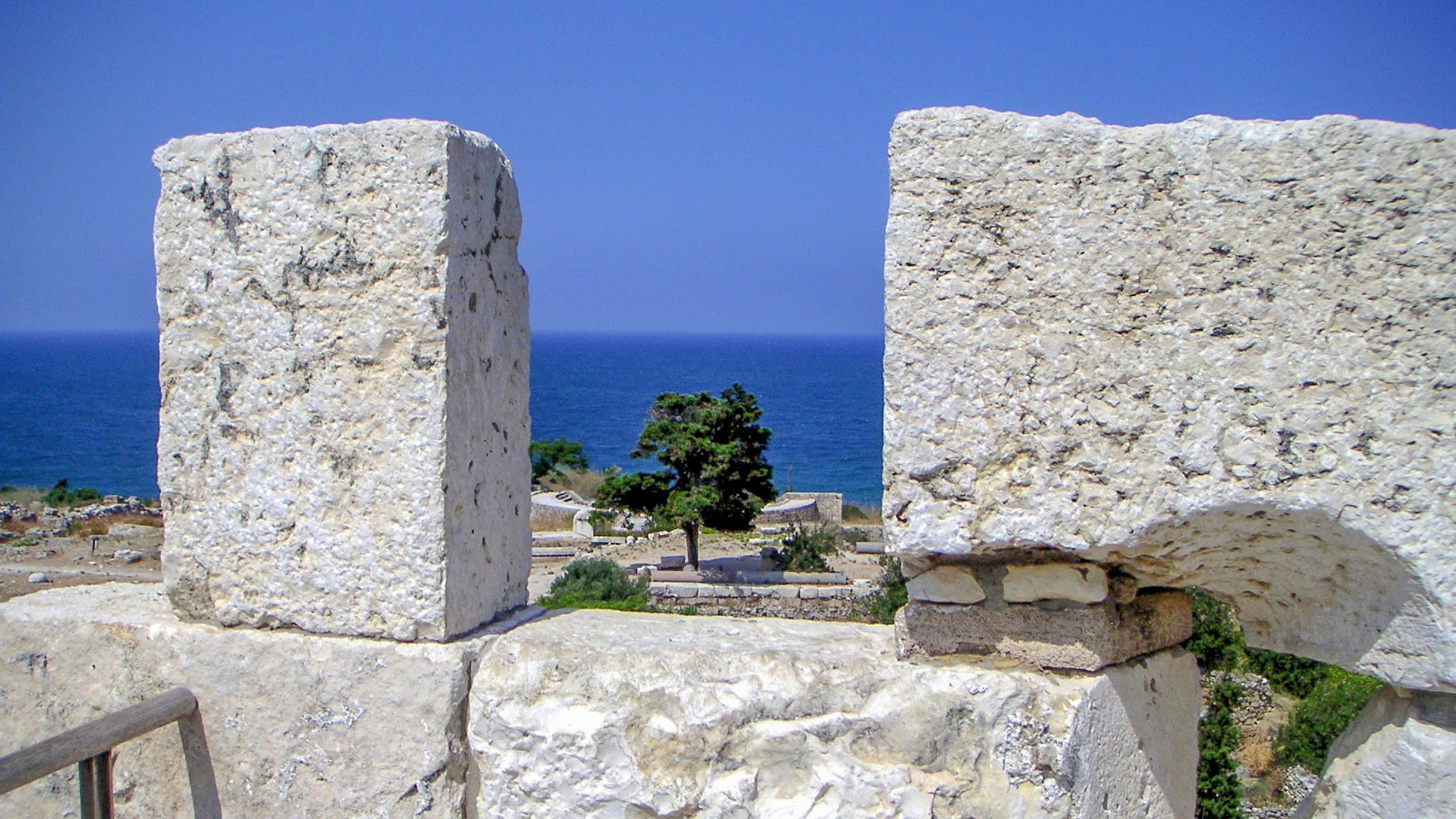 lebanon, nature, tree, concrete, ancient civilization, no people, wall, ruins, archaeology, architecture, byblos, water, stone material, tranquility, ancient, HD Wallpaper