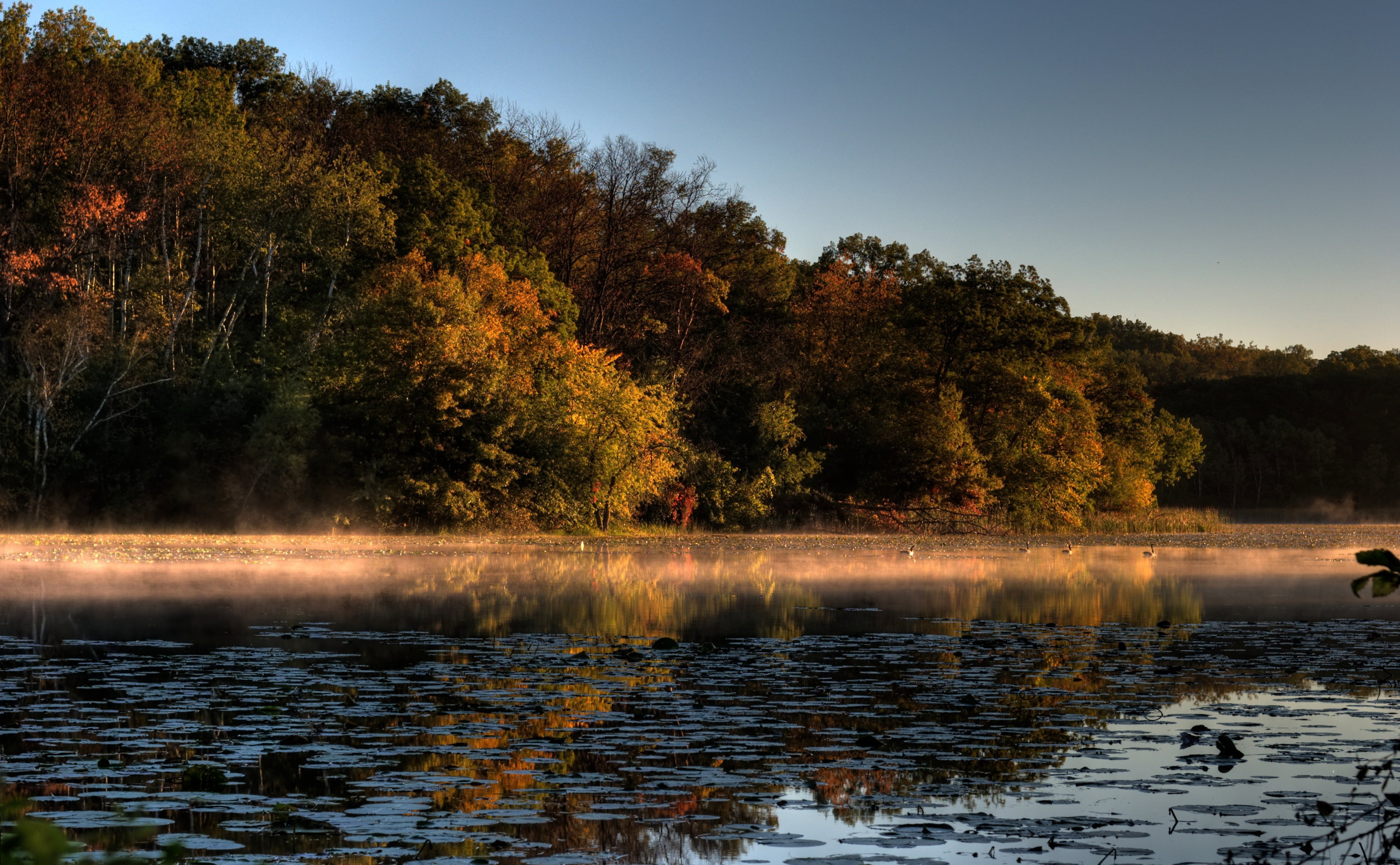 body, idyllic, Hills, water, Autumn, sky, 4K, tranquility, eagan, Park, day, outdoors, scenics - nature, Seasons, forest, Jensen, Tinge, tranquil scene, HD Wallpaper
