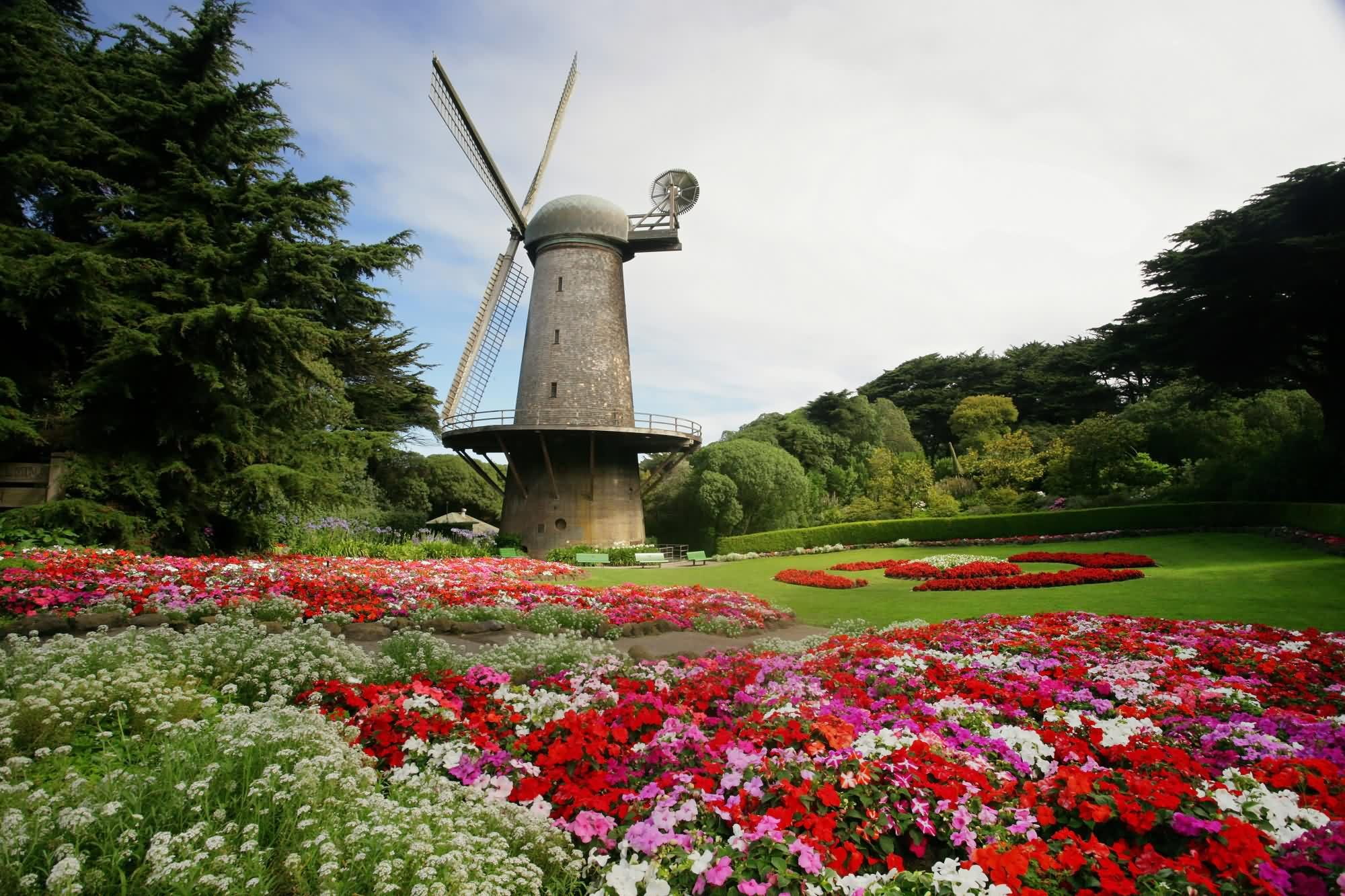 nature, landscape, golden, gardens, california, colors, tulip, wilhelmina, trees, north, gate, garden, park, windmill, francisco, flowers, dutch, clouds, HD Wallpaper