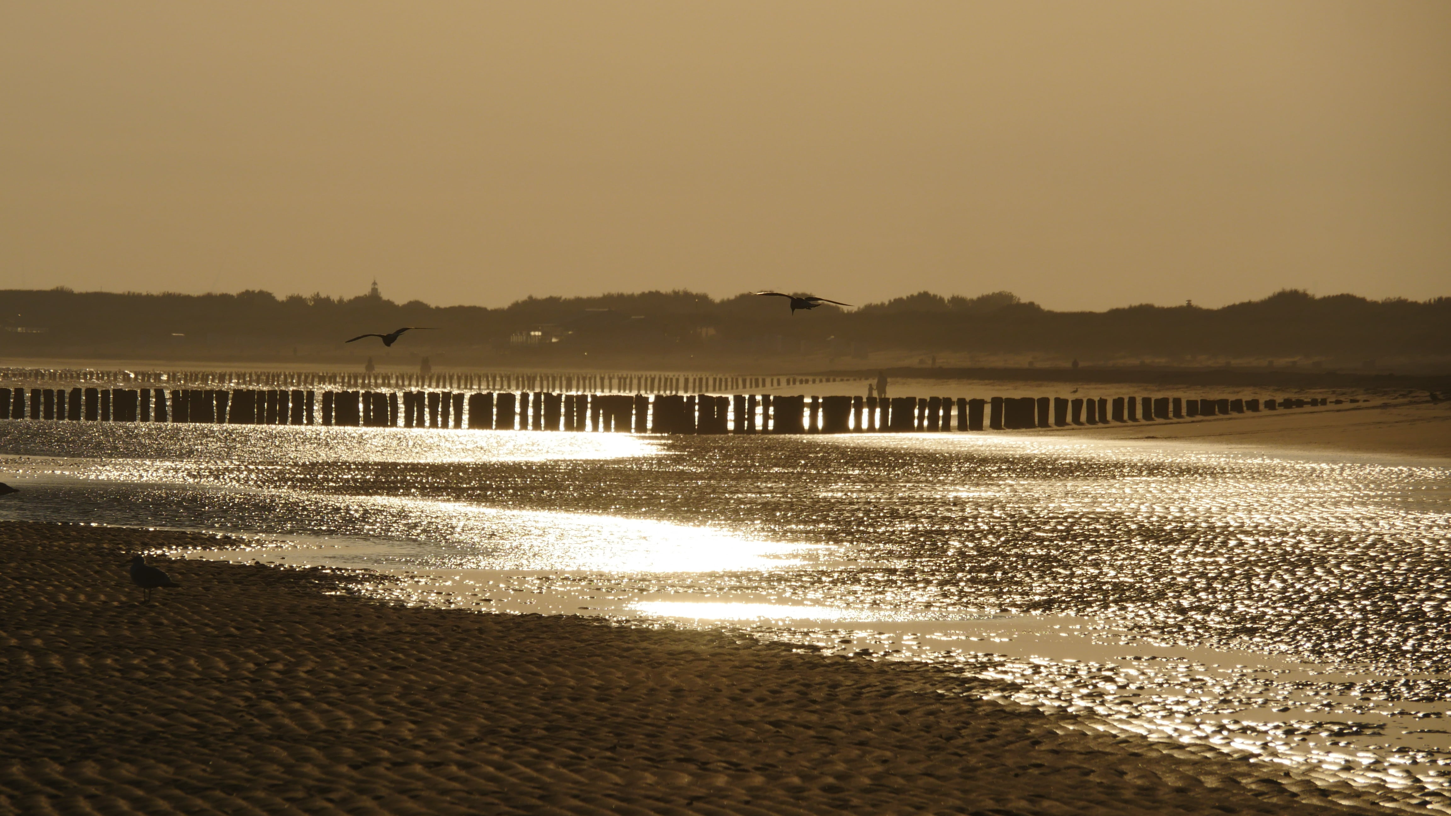 beach, sunrise, golden, sea, nature, architecture, summer, tranquil scene, pier, 4K, scenics - nature, water, silhouette, no people, beauty in nature, HD Wallpaper
