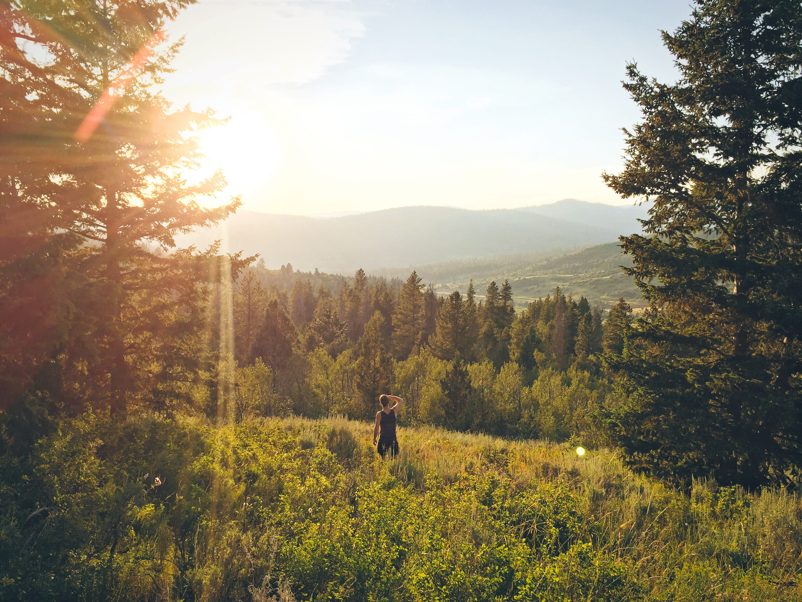 standing, mountain, non-urban scene, middle, one person, profile, land, high uintas wilderness, day, man, scenics - nature, tree, growth, men, sky, real people, HD Wallpaper