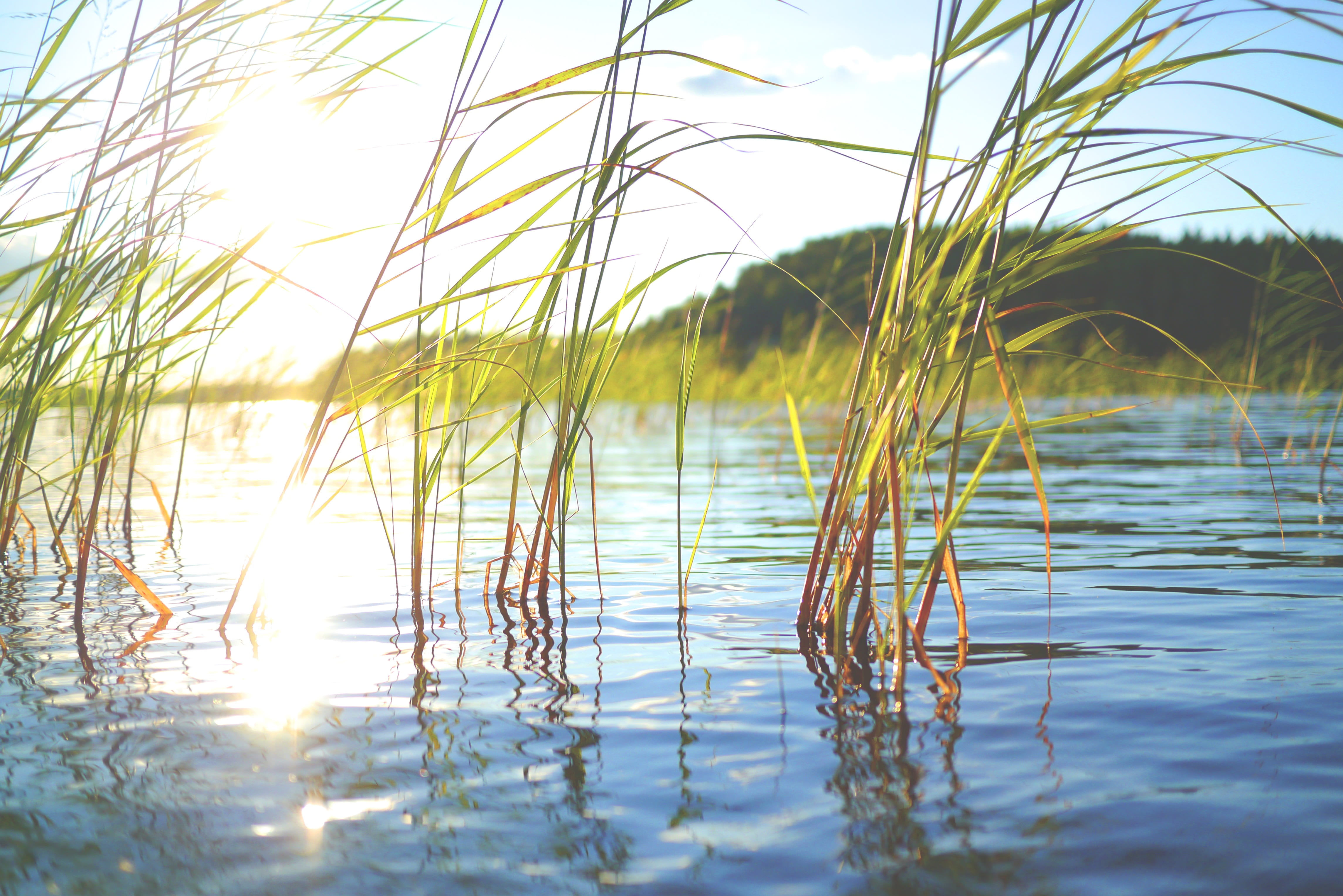 holiday, beauty in nature, water, scandinavia, mood, tranquil scene, abendstimmung, focused, day, 4K, sky, idyll, north, nature, no people, golden, waters, HD Wallpaper