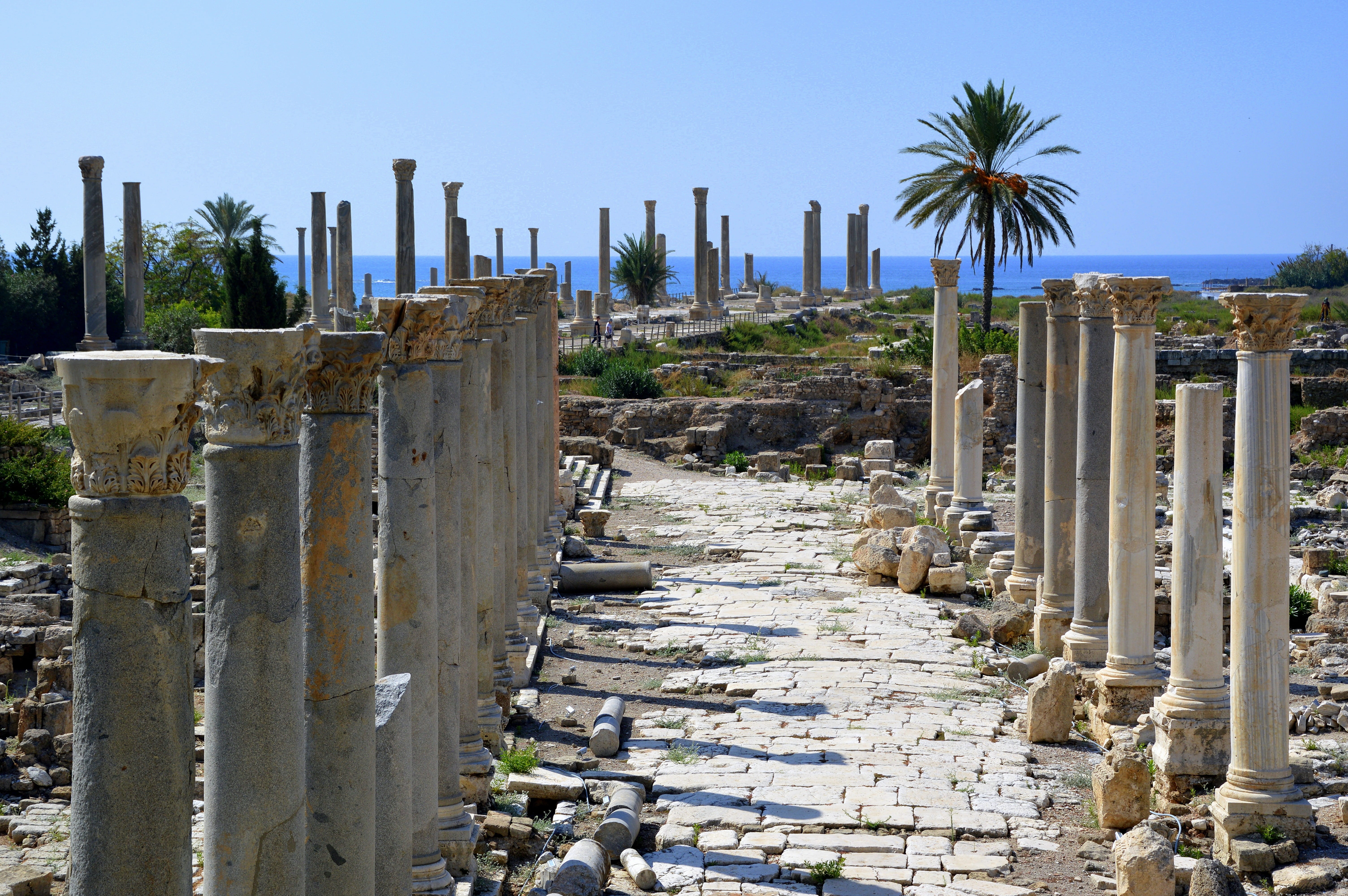 building exterior, day, ruins, lebanon, archaeology, security, excavations, phoenicians, the past, palm tree, clear sky, built structure, tyros, plant, HD Wallpaper