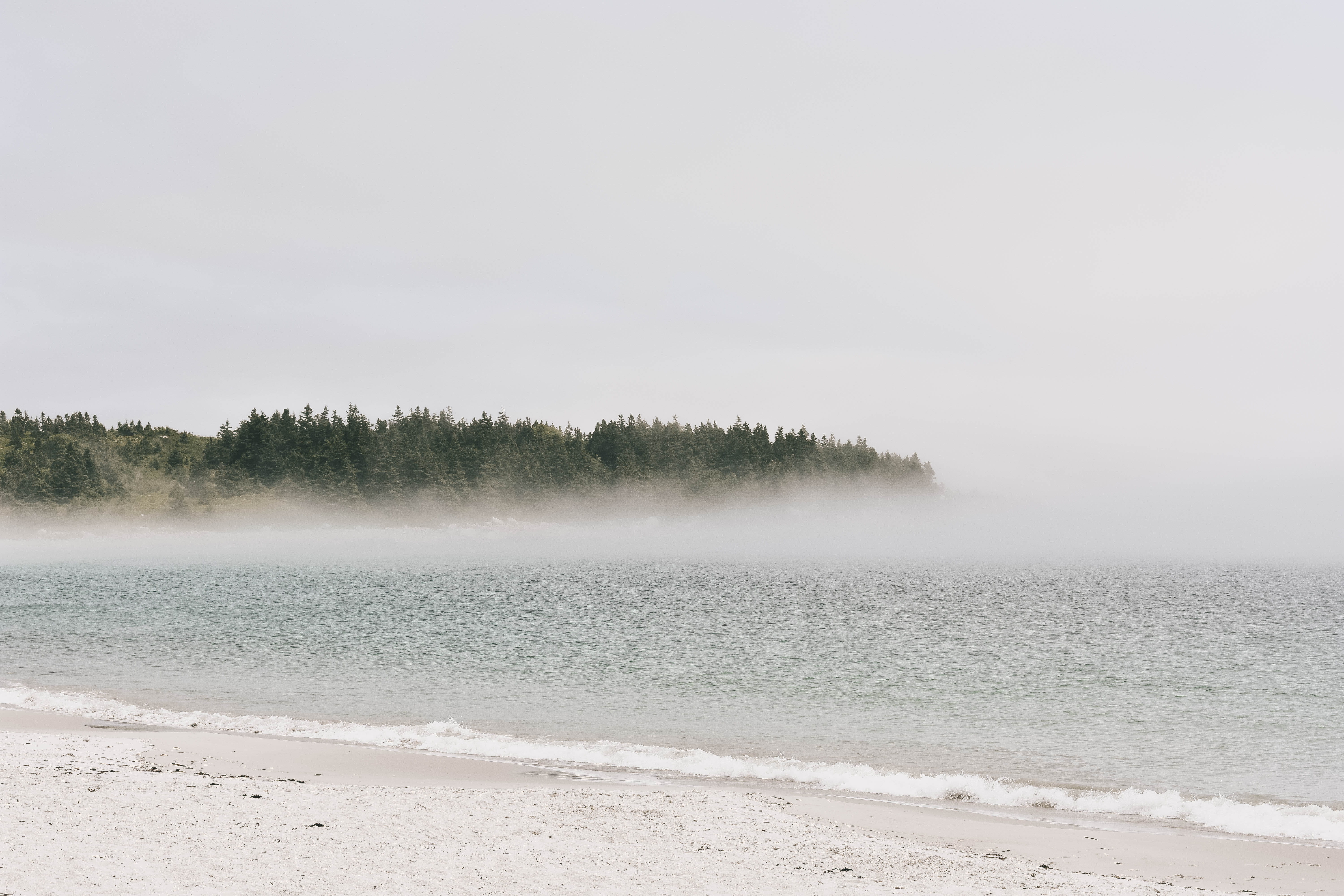 day, copy space, halifax, beach, tree, outdoors, landscape, no people, 5K, non-urban scene, land, fog, sky, lake, scenics - nature, tranquil scene, ocean, HD Wallpaper