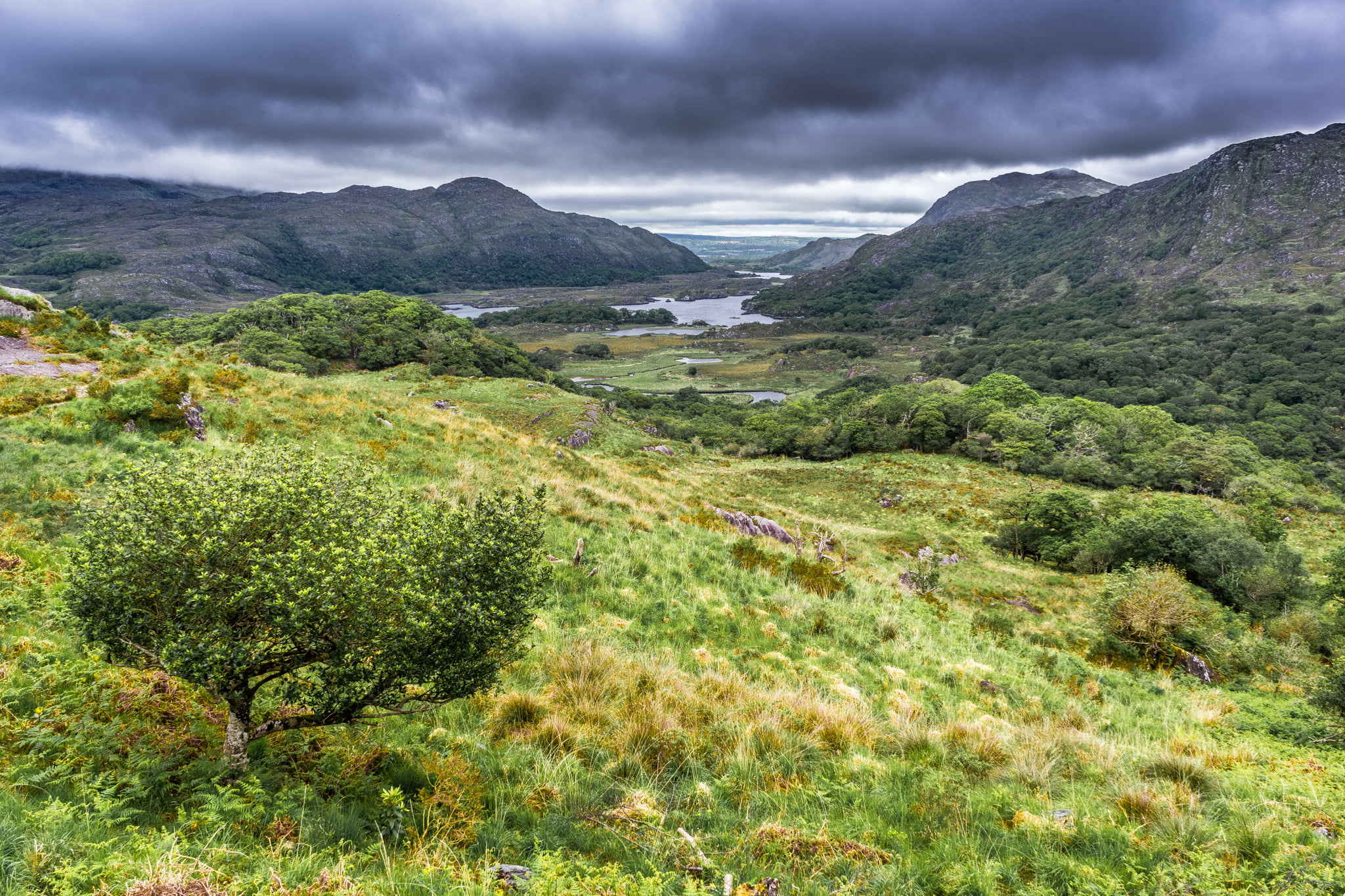 Ireland, sky, grass, tip, sony a7, sel2870, trees, nature, clouds, europe, Ladies view, photography, mountain, outdoors, river, green, surrounding, valley  view, HD Wallpaper