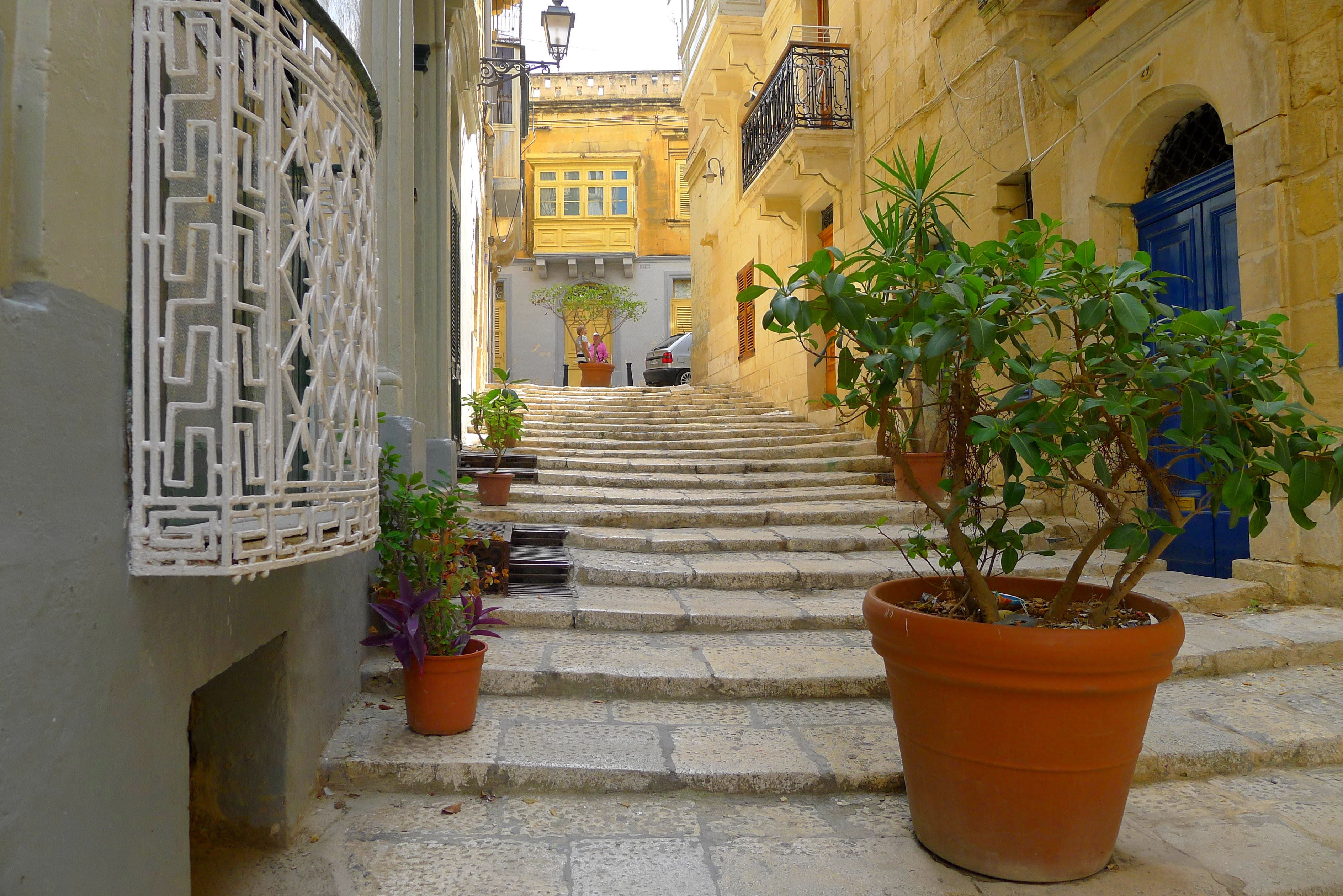 nature, direction, 2K, gradually, street, building exterior, outdoors, stone, plant, yellow, architecture, buildings, built structure, flower pot, staircase, HD Wallpaper