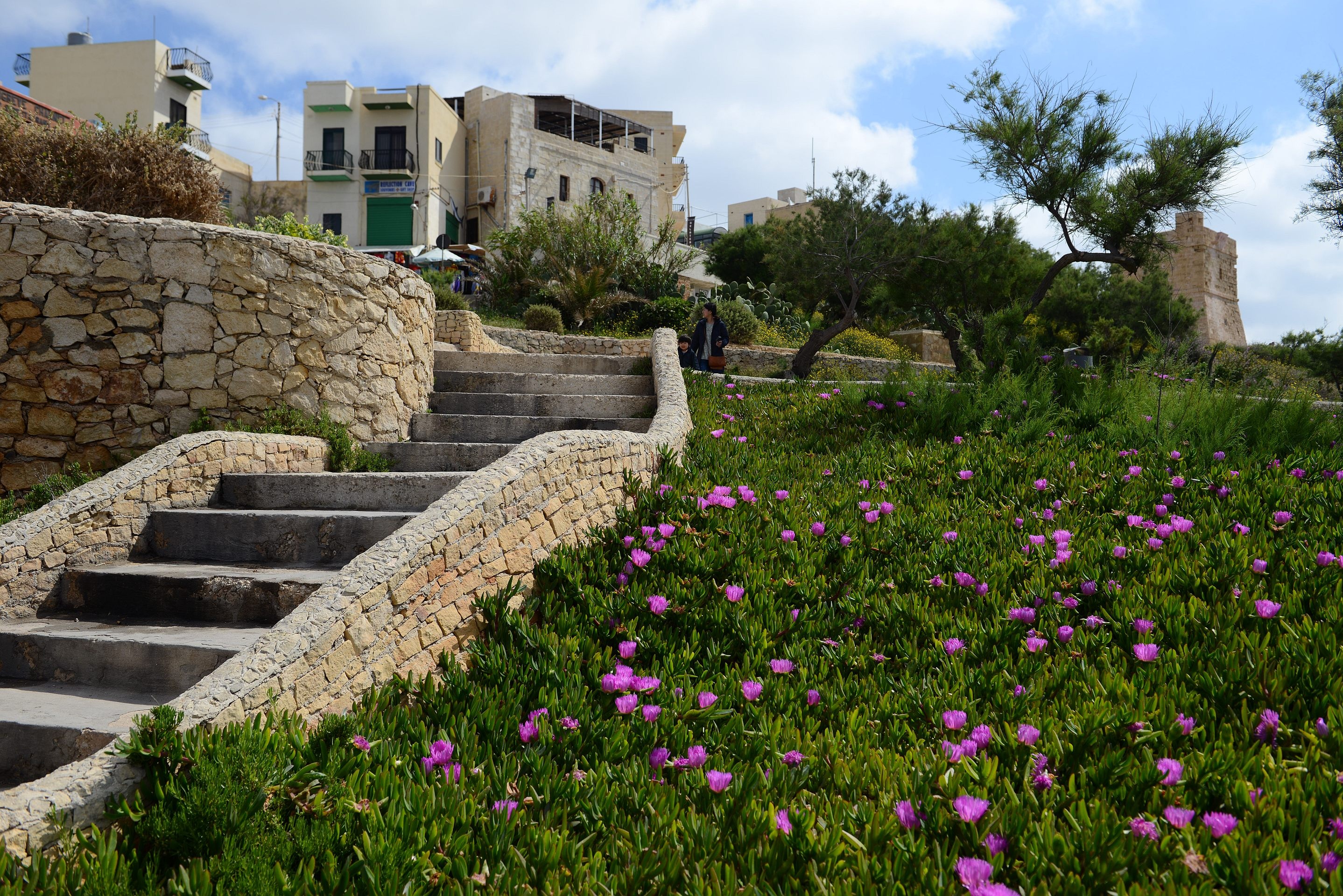 sky, green, tree, growth, stone, outdoors, building, stairs, cloud - sky, gradually, wall, no people, flower, flowering plant, built structure, garden, HD Wallpaper