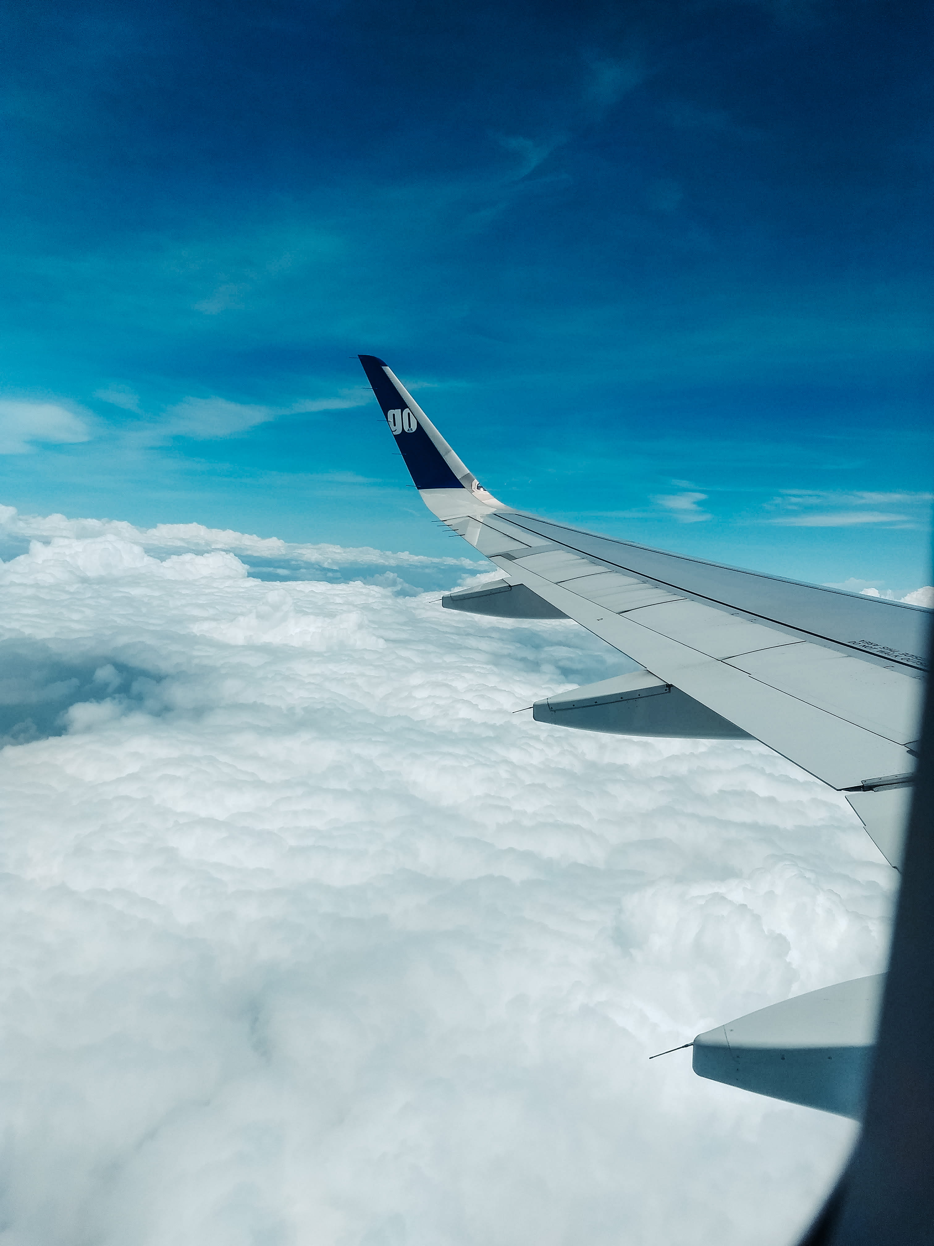 outdoors, travel, flight, sky, mid-air, bird, plane, aircraft wing, window, no people, on the move, aerospace industry, scenery, airliner, airplane, transportation, Phone HD Wallpaper