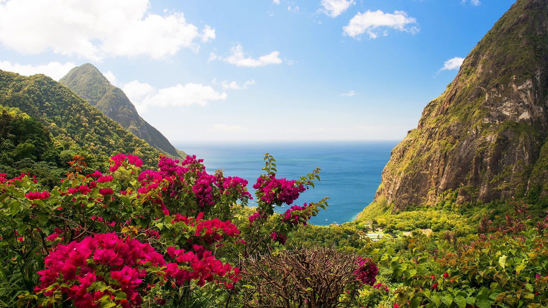 beauty in nature, growth, land, st lucia, tropical, coast, gros piton, santa lucia, summer, tropical island, wilderness, sky, mountain, tranquil scene, HD Wallpaper