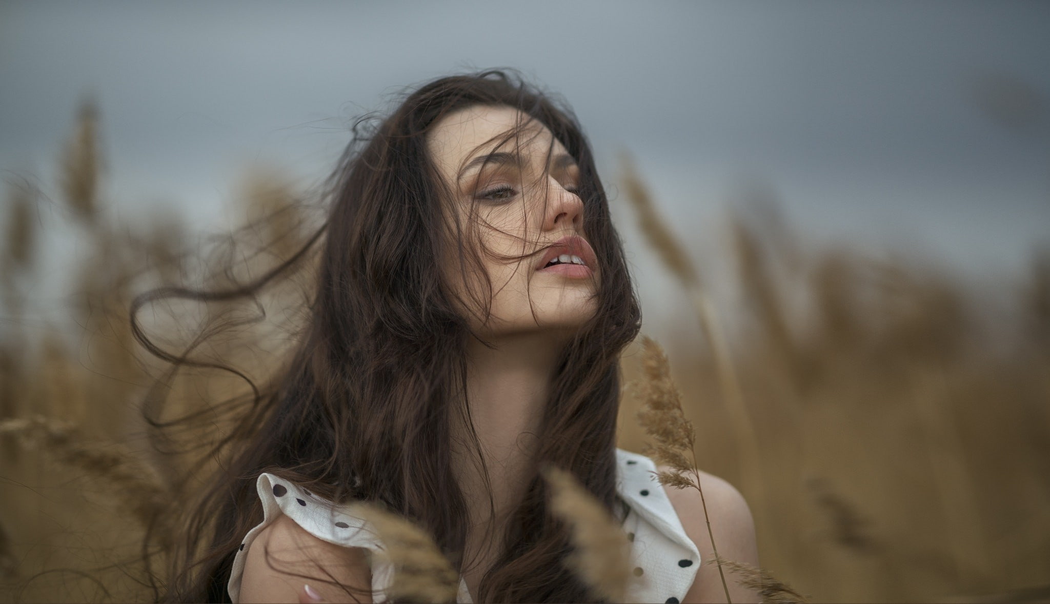 contemplation, looking, women, headshot, land, face, brown hair, young adult, hair, depth of field, portrait, tousled hair, long hair, hairstyle, nature, HD Wallpaper
