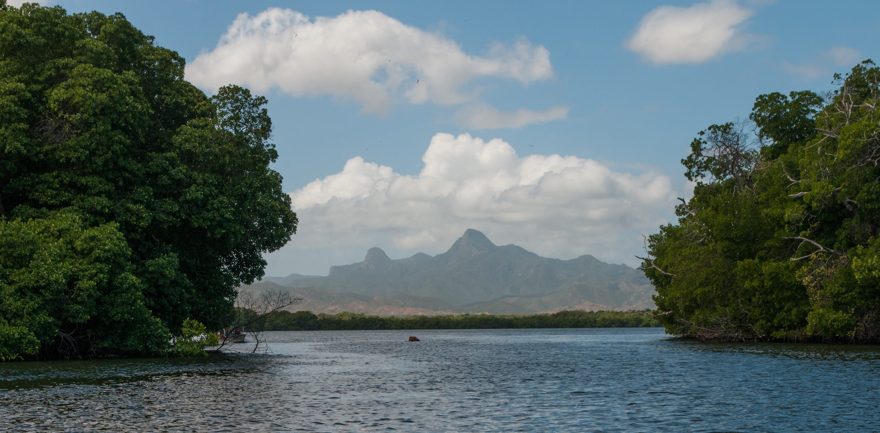 tourism, outdoors, skies, 2K, trip, body, mangroves, sky, trees, caribbean, nature, bay, day, water, travel, cloud - sky, macanao peninsula, island, travel destinations, HD Wallpaper
