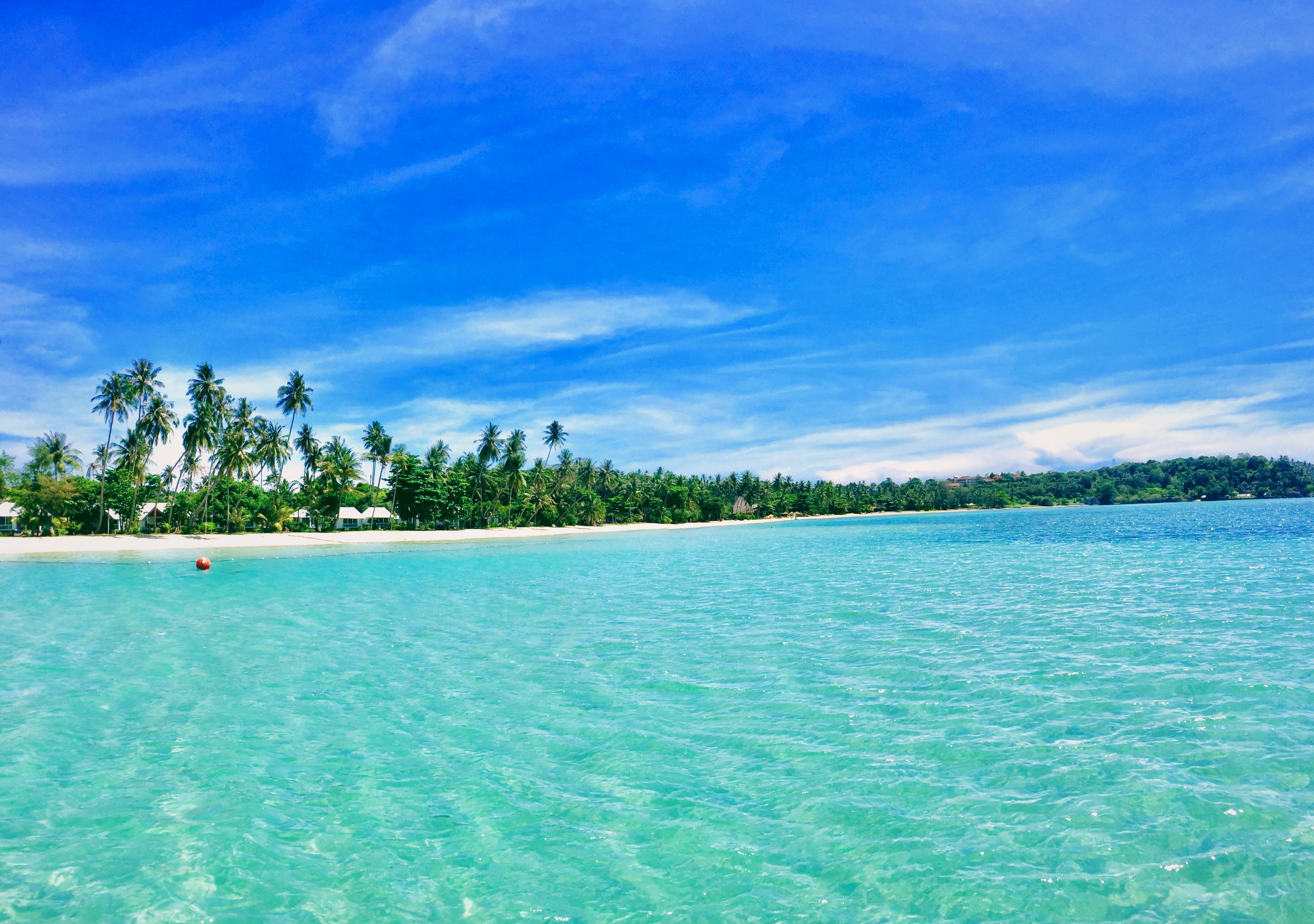tree, tambon koh chang tai, tranquil scene, 4K, turquoise colored, cloud - sky, beach, no people, holiday, tahiti, plant, trip, water, outdoors, tropical tree, HD Wallpaper