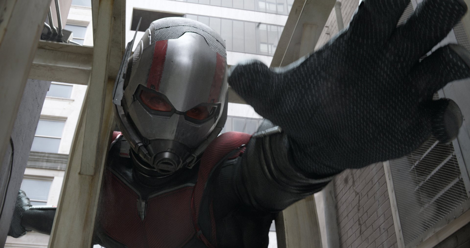 Movie, Ant-Man, 1080P, Paul Rudd, Ant-Man and the Wasp, HD Wallpaper
