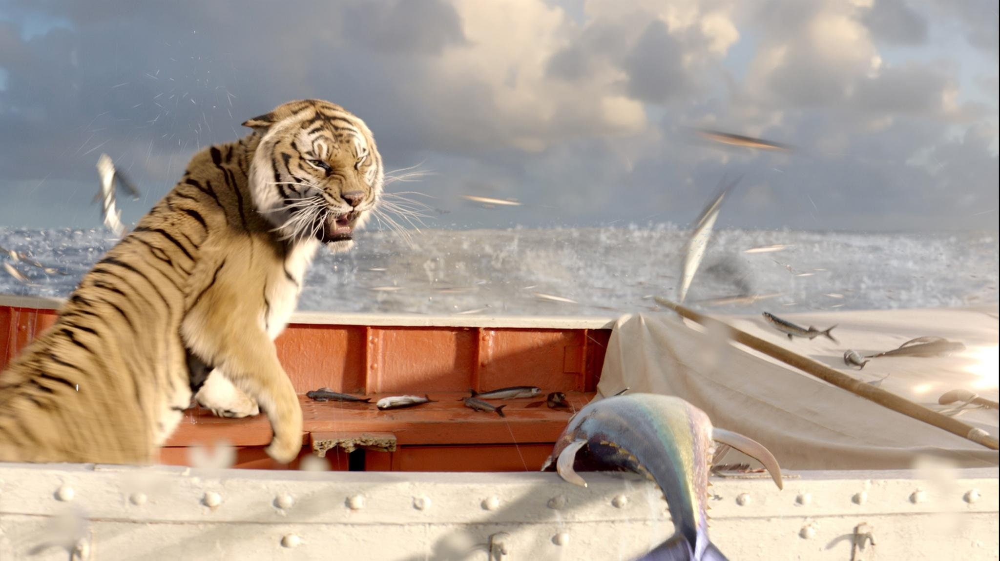 transportation, predator, Shipwreck, mammal, adventure, drama, animation, nautical vessel, cloud - sky, d, one animal, animal wildlife, mode of transportation, HD Wallpaper