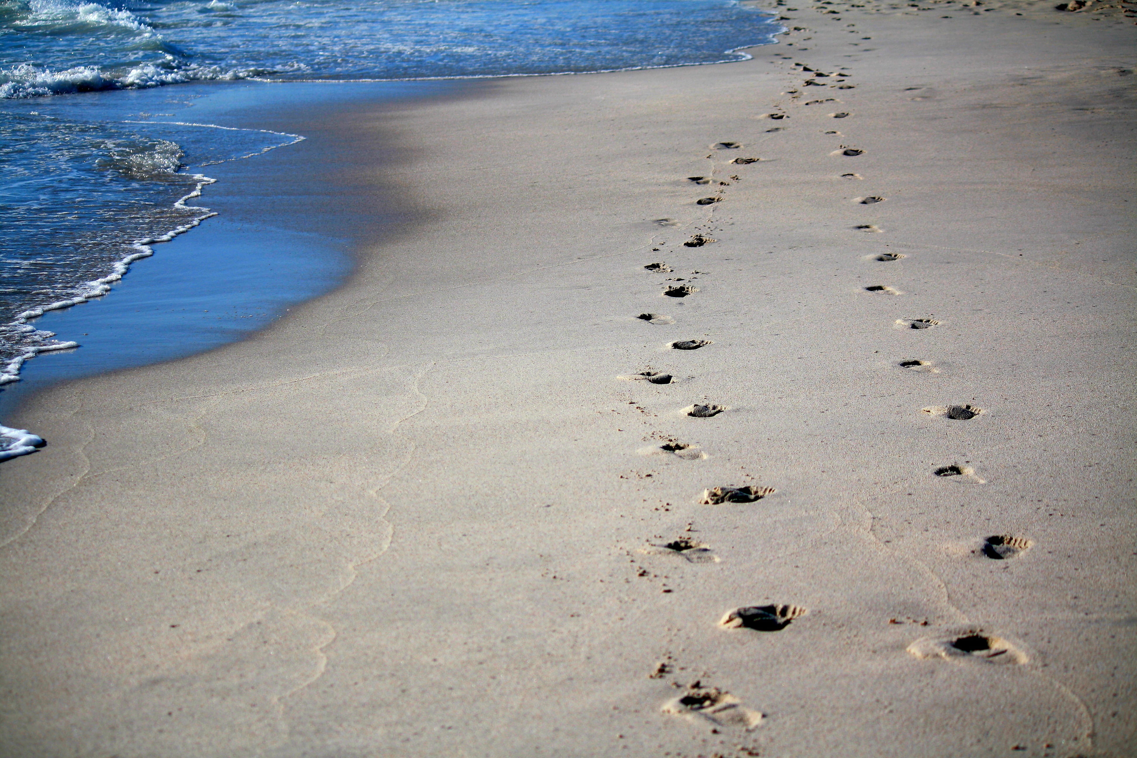 sand, traces, tranquil scene, ocean, 4K, shore, sunlight, nature, tranquility, day, paw print, footprint, water, land, scenics - nature, summer, coastline, HD Wallpaper