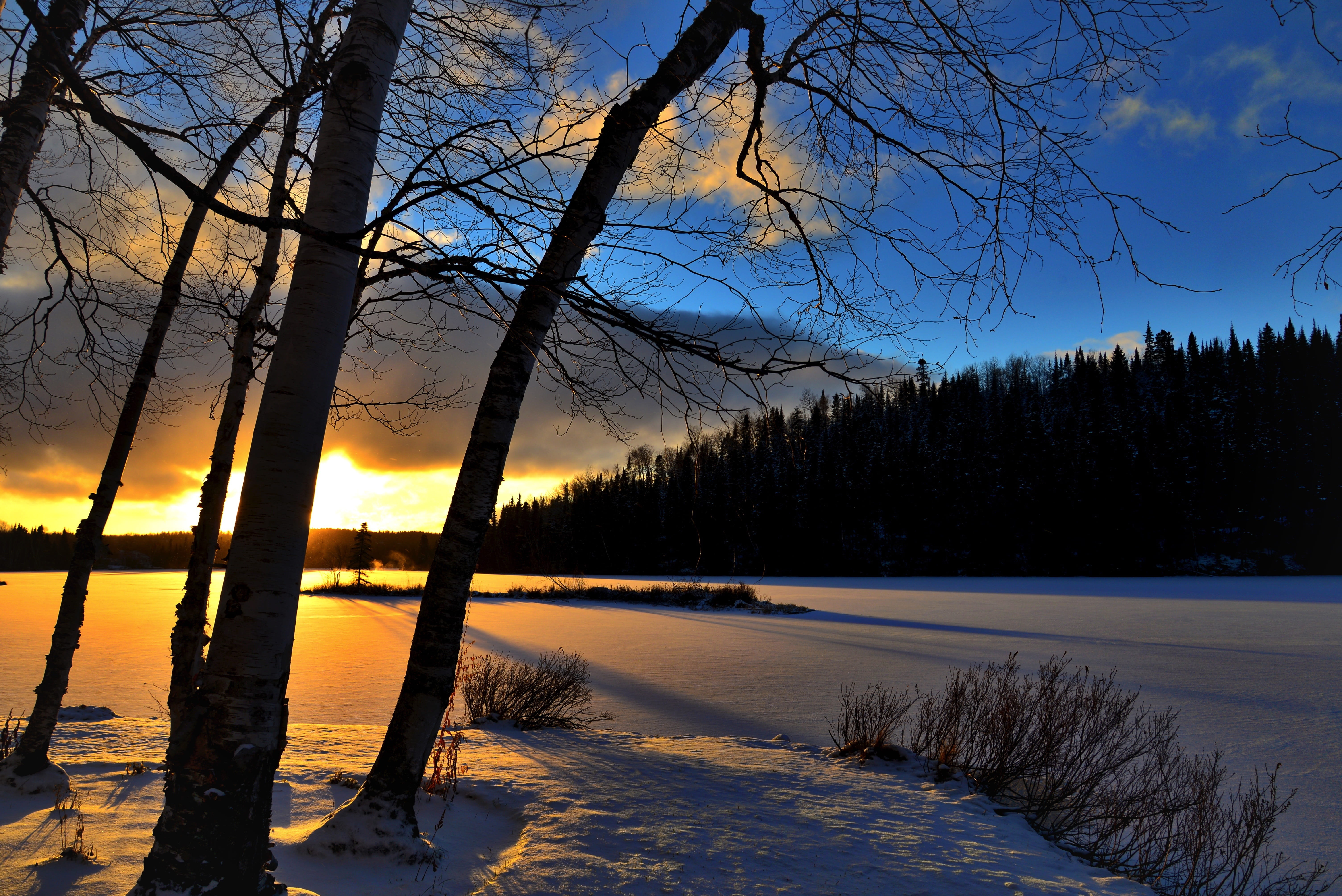 5K, cold temperature, plant, frozen, blue, cold - Temperature, sunset, water, body of water, tranquil Scene, non-Urban Scene, nature, no People, lake, HD Wallpaper