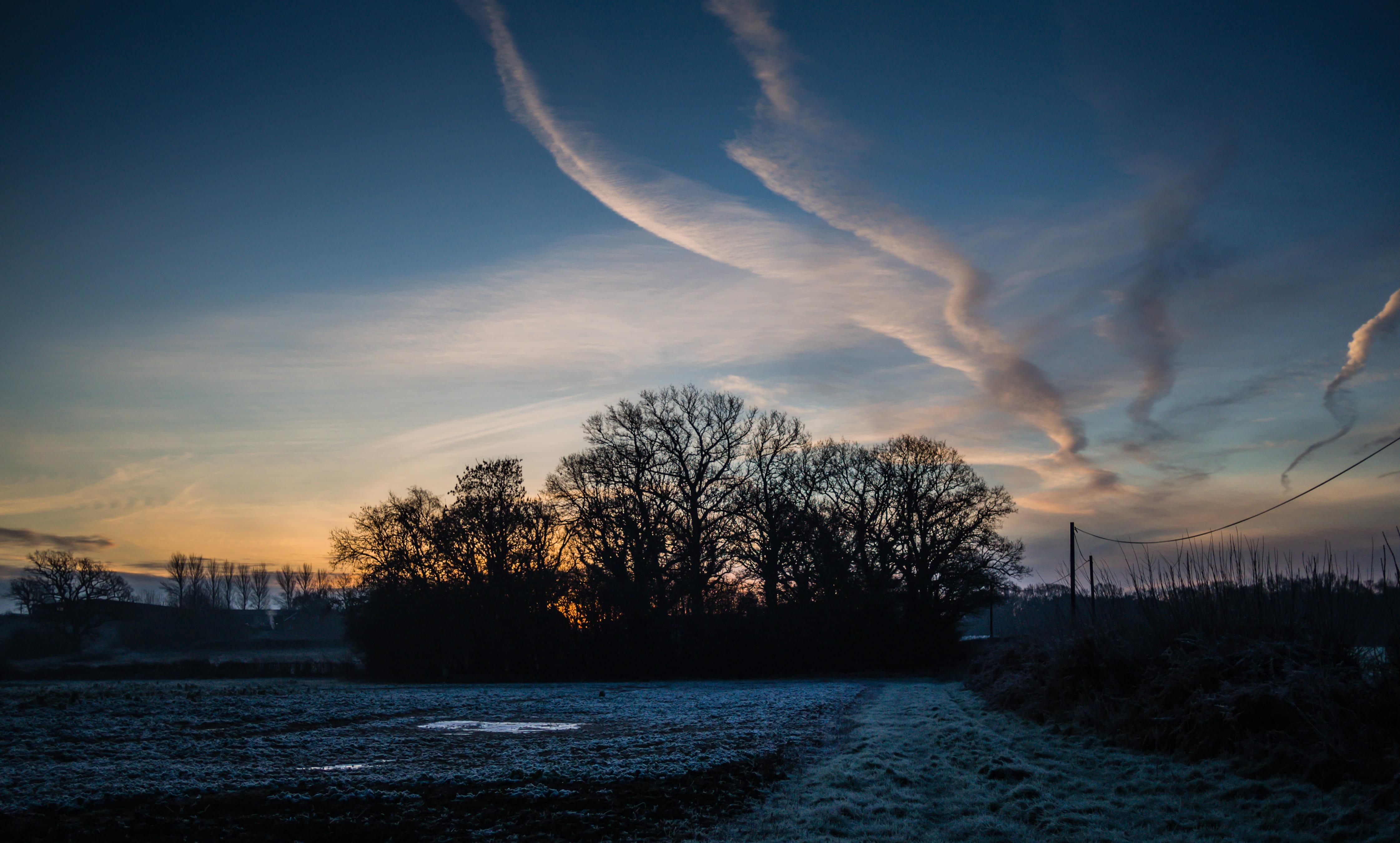 frost, tranquility, cloud, winter, sky, leafless, plant, scenics, underneath, trees, land, silhouette, white, environment, night, blue, cold temperature, HD Wallpaper