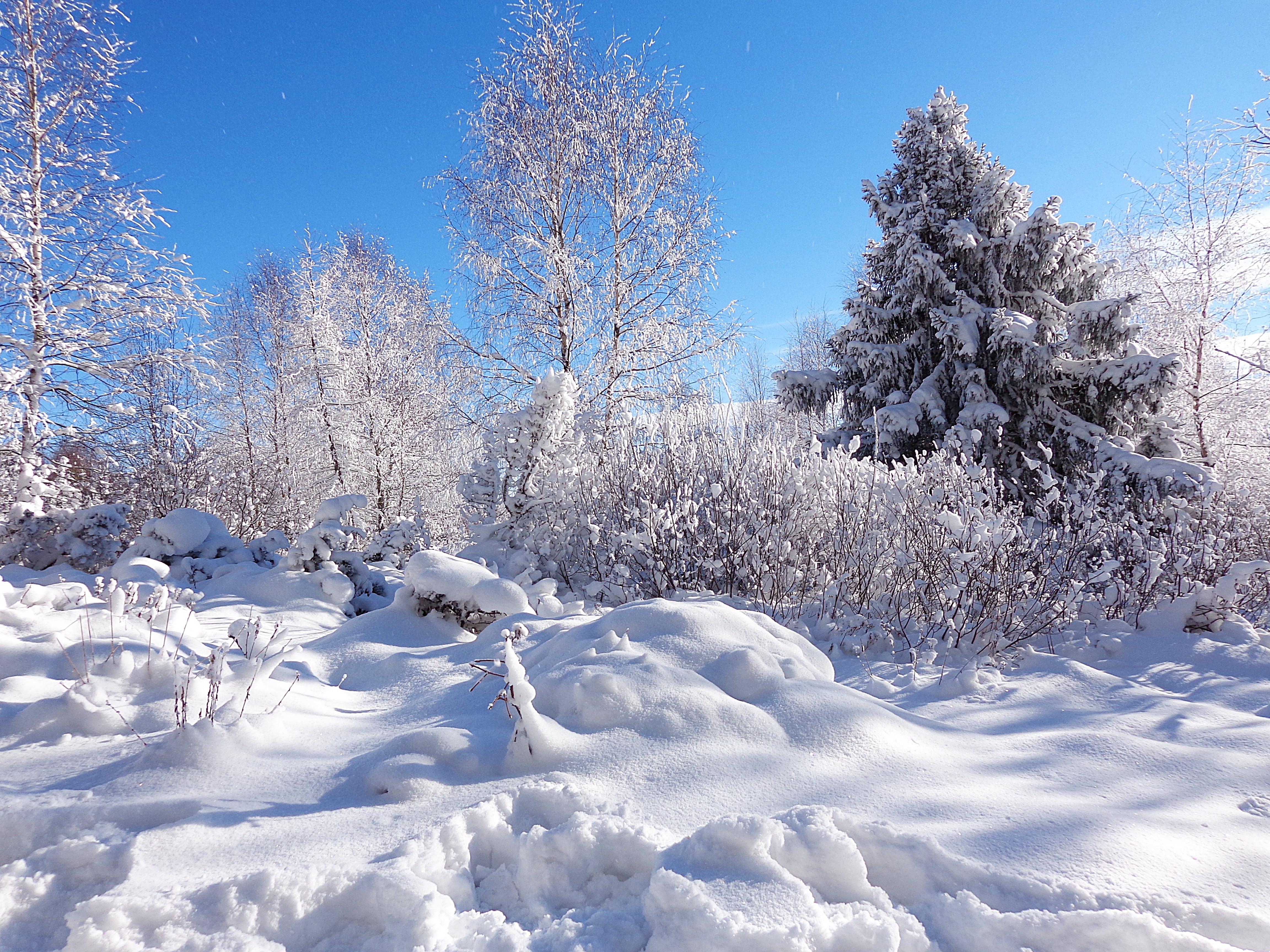 4K, snowing, trail, tranquil scene, sky, panorama, beauty in nature, mountain, the sun, white, the power of the mountains, pine tree, cold temperature, HD Wallpaper