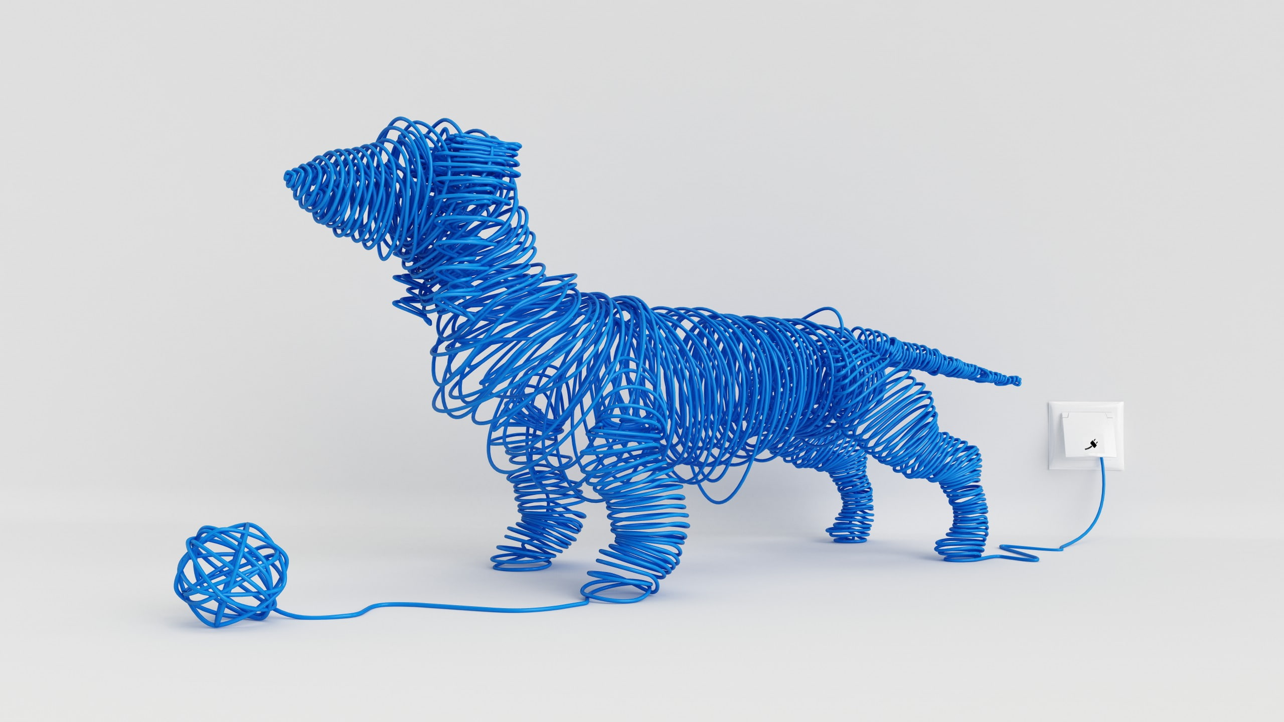 wire, the ball, Dachshund, outlet, 2K, HD Wallpaper
