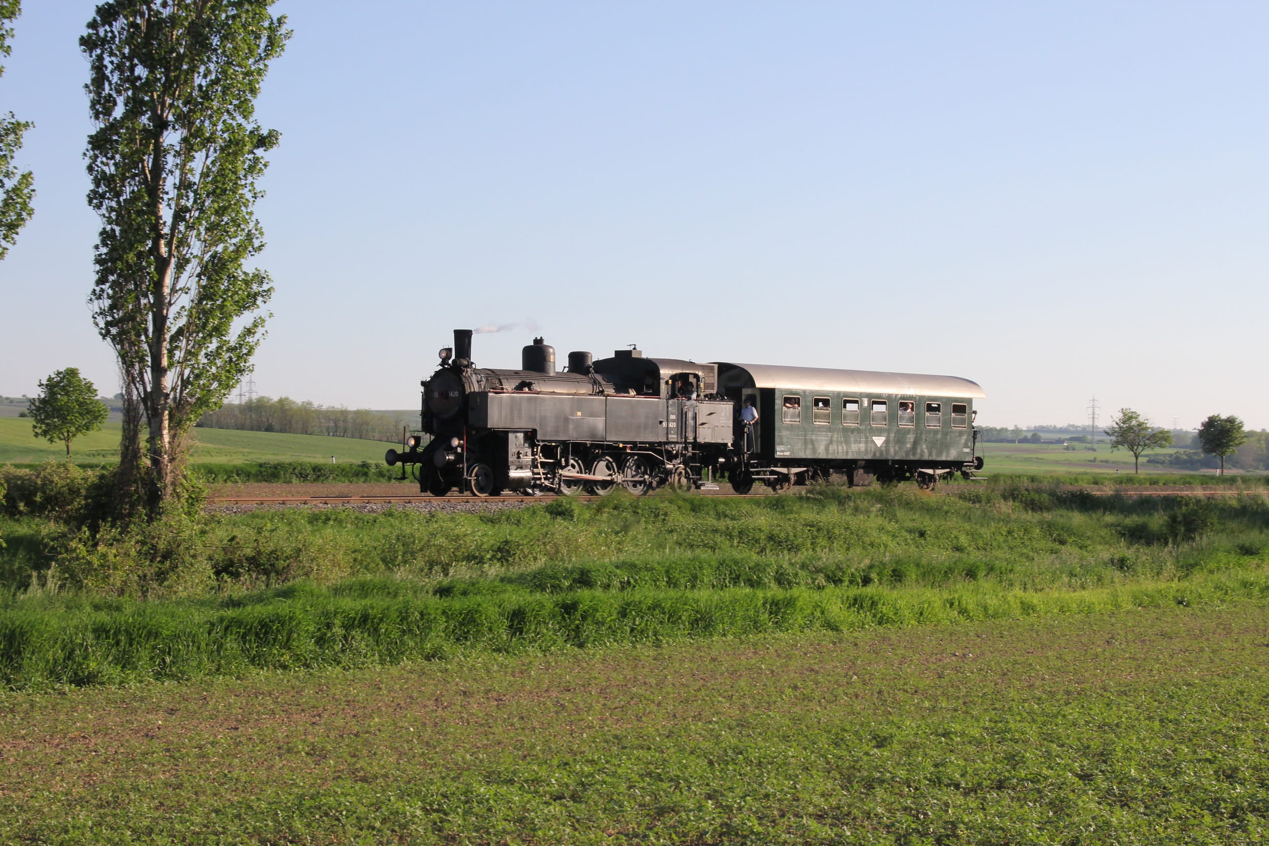 antique, green color, pulkautal, no people, tree, train, mode of transportation, austria, sky, grass, 2K, row 93, track, agriculture, plant, outdoors, HD Wallpaper