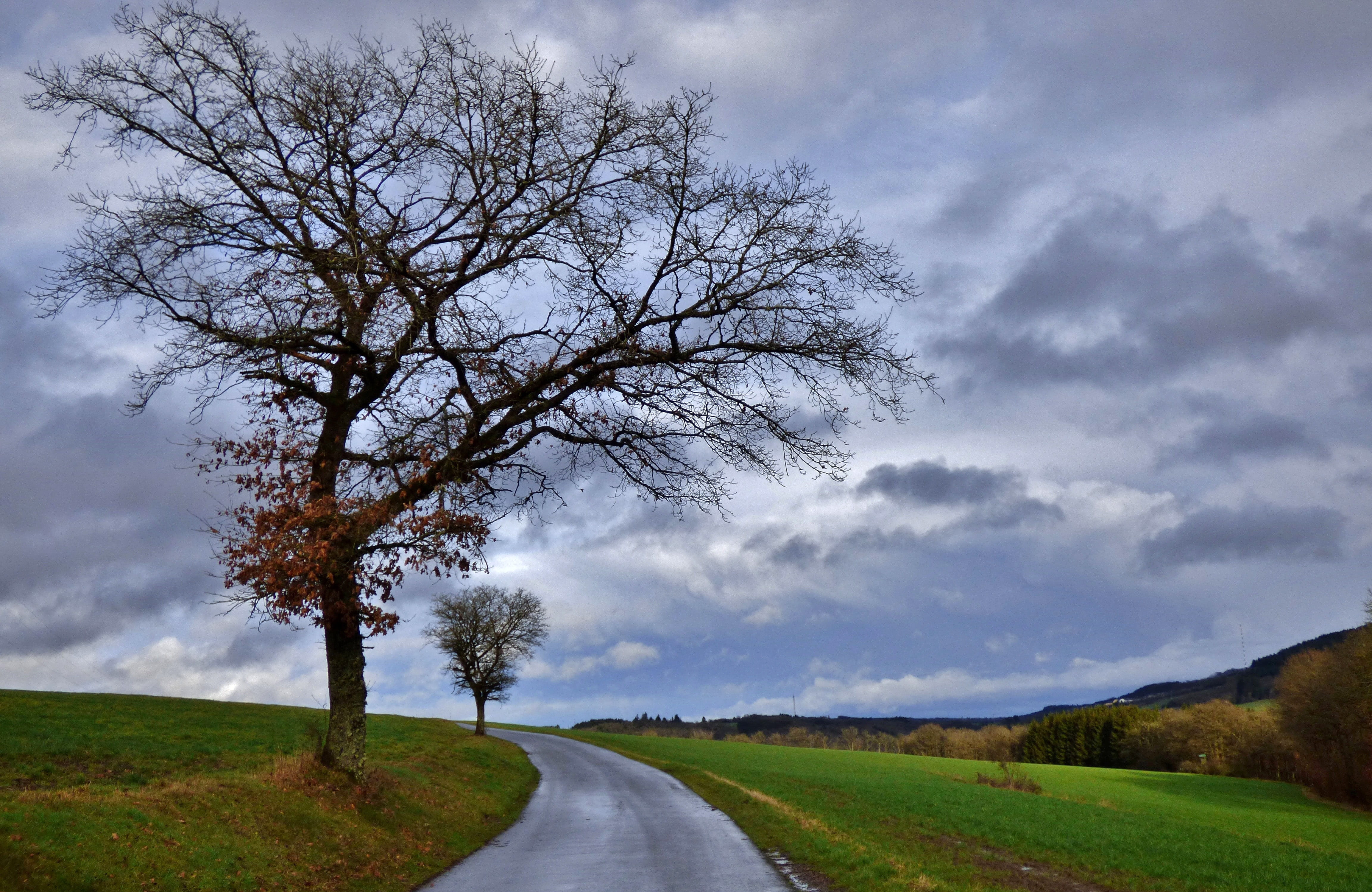 road, beauty In Nature, the way forward, plant, transportation, cloud - Sky, blue, photos, environment, no People, diminishing perspective, non-Urban Scene, HD Wallpaper