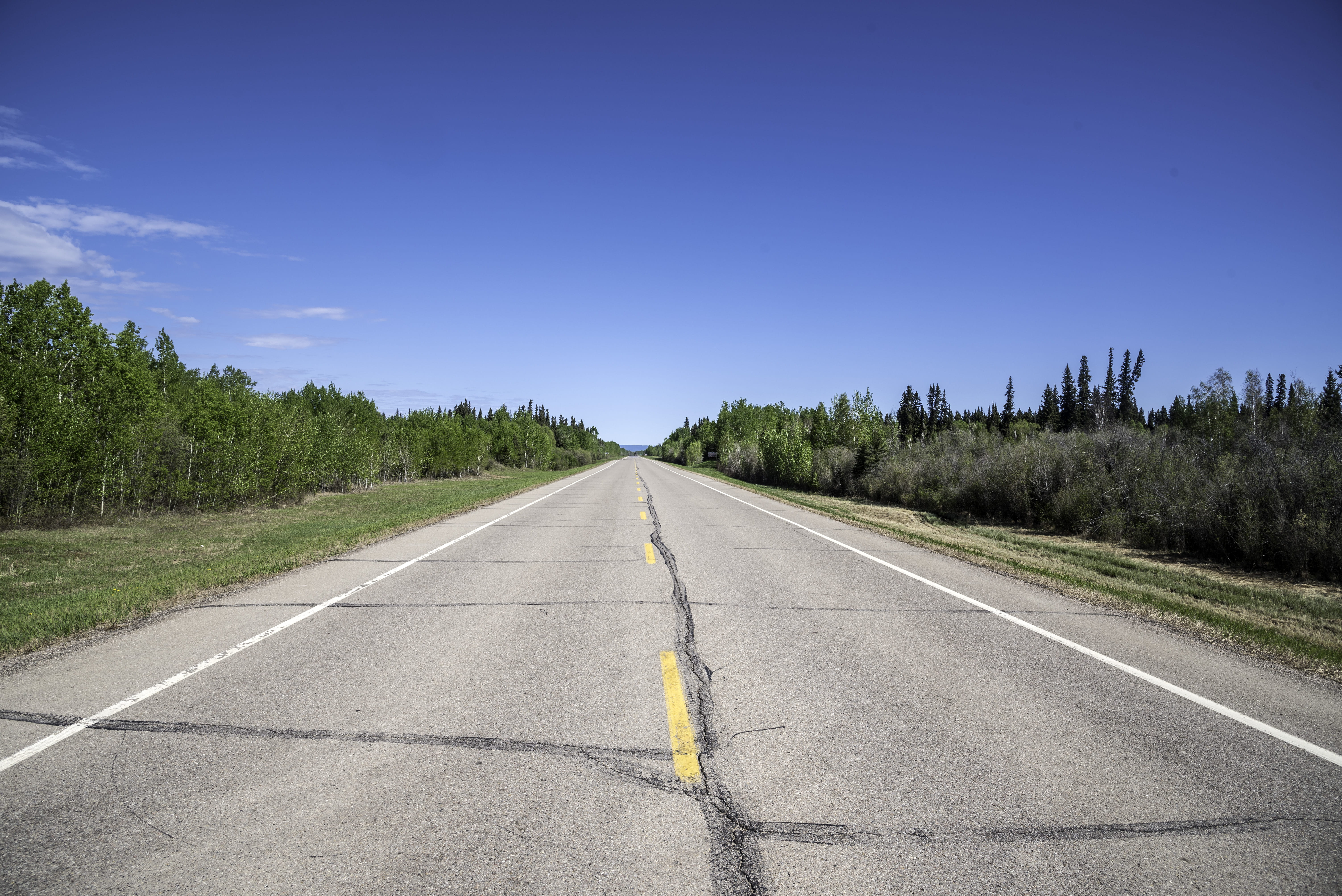 landscapes, rural Scene, plant, travel, diminishing perspective, landscape, surface level, 5K, scenics, canada, highway, clear sky, public domain, asphalt, HD Wallpaper