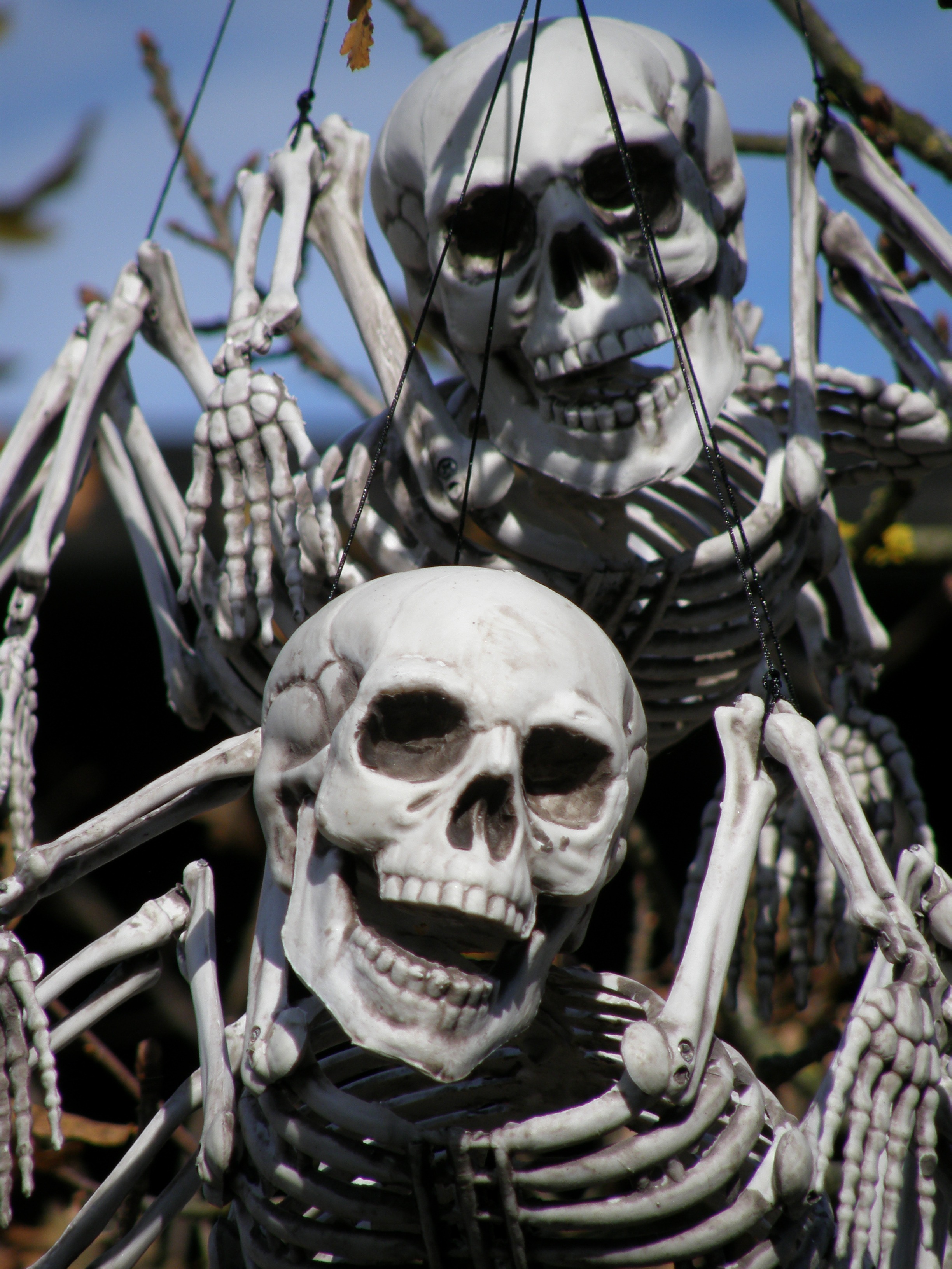 skeleton, skull, horror, people, legoland, skeletons, focus on foreground, close-up, decoration, bone, body part, representation, human skull, human skeleton, Phone HD Wallpaper