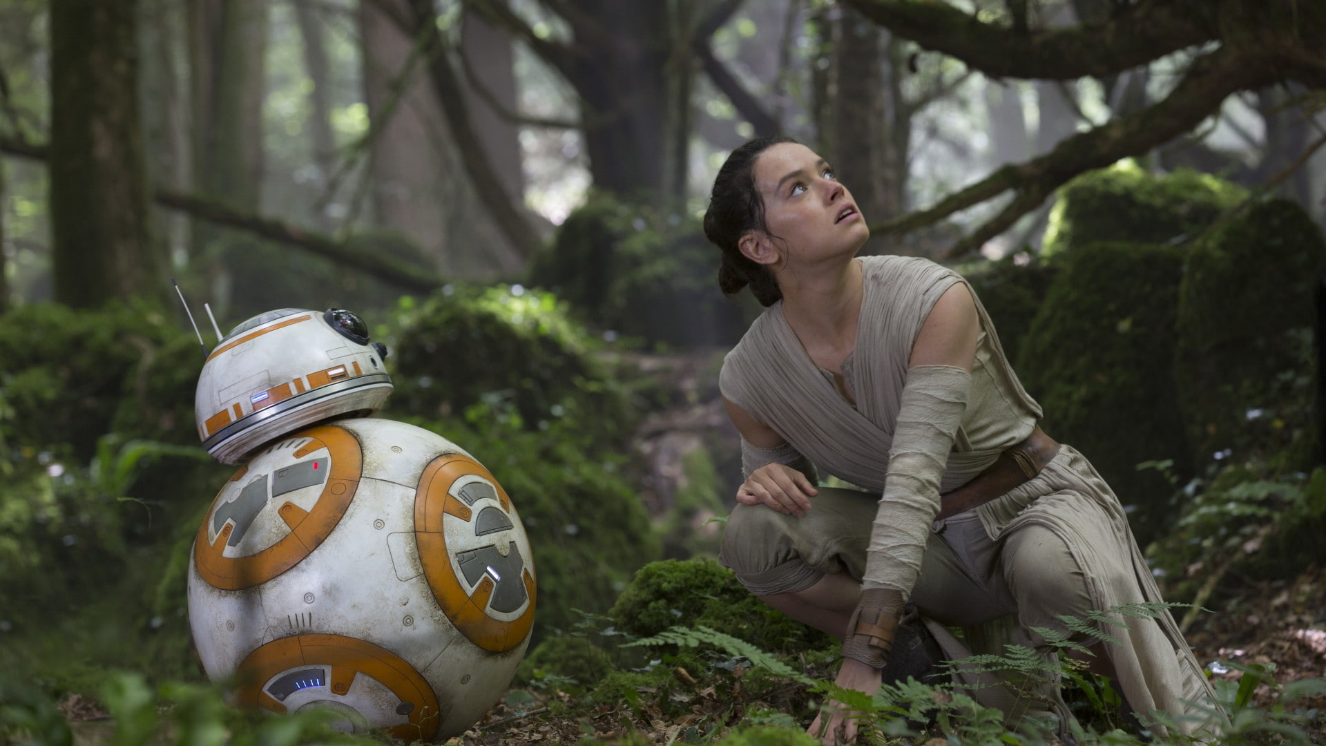 force, Episode VII, episode, robot, Daisy Ridley, awakens, The Force Awakens, vii, Star Wars, 1080P, HD Wallpaper