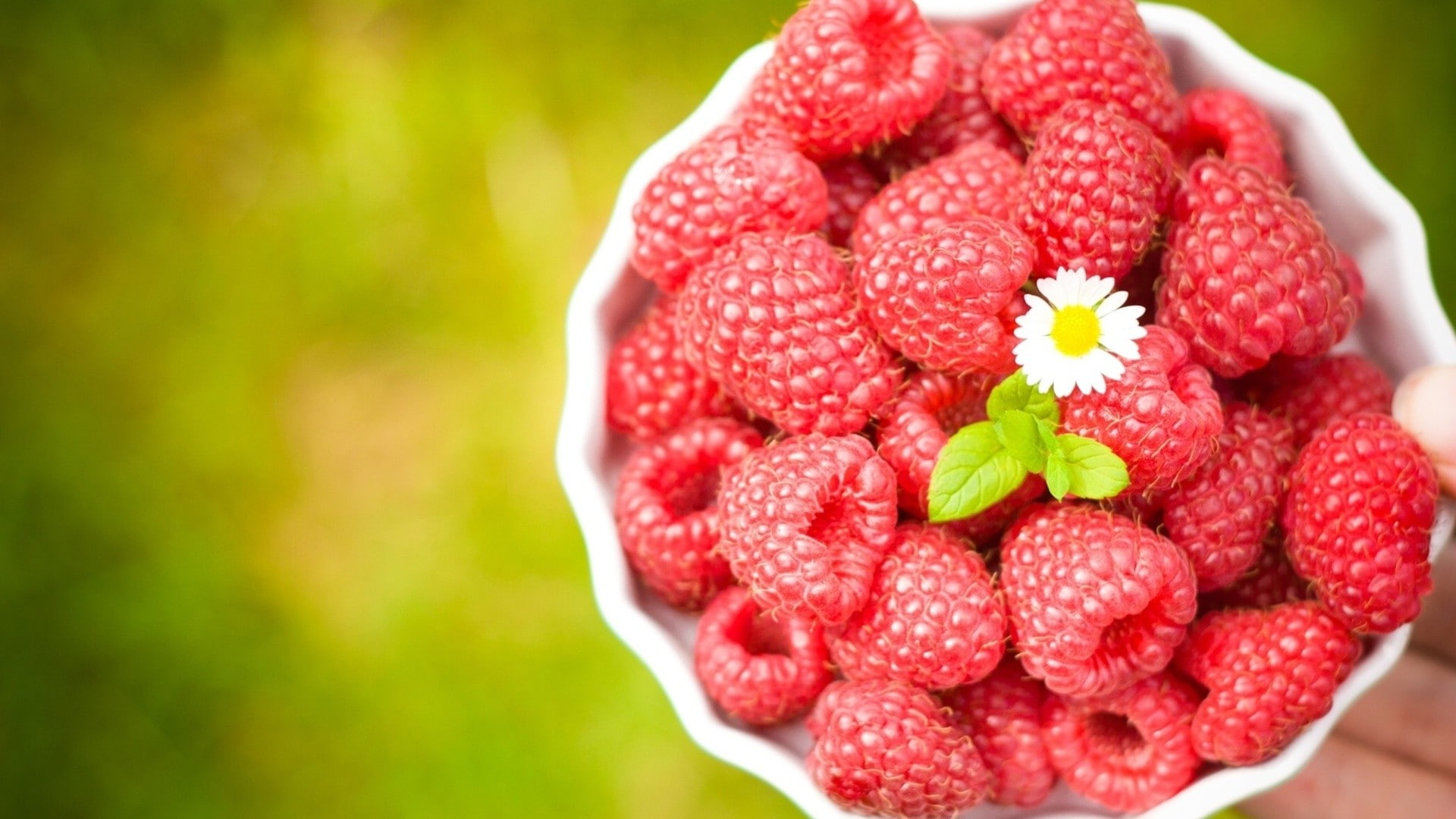 mint leaves, food, red, flowers, no people, nature, fruit, raspberries, raspberry, healthy eating, food and drink, green color, focus on foreground, close-up, HD Wallpaper